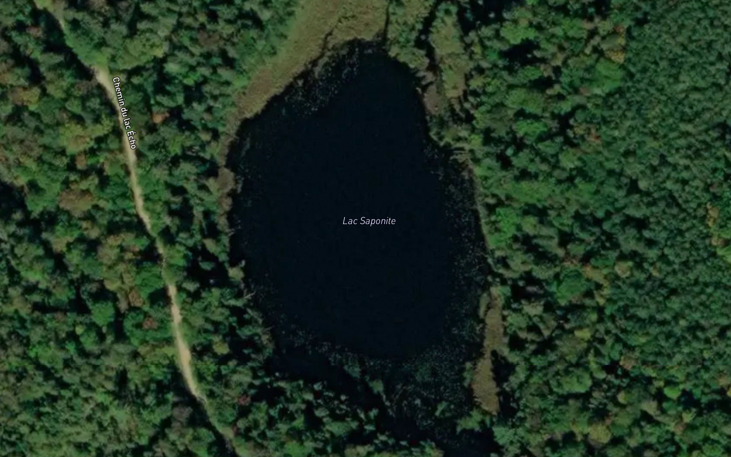 Lac Saponite