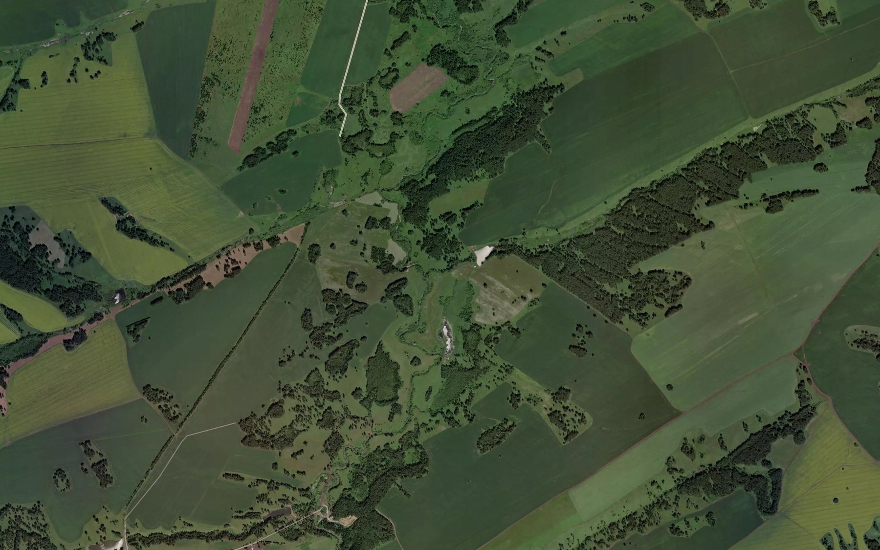 Satellite map of the Borovushka