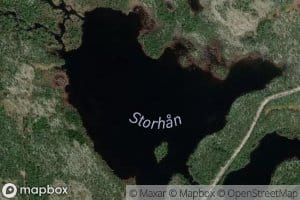 Storhan