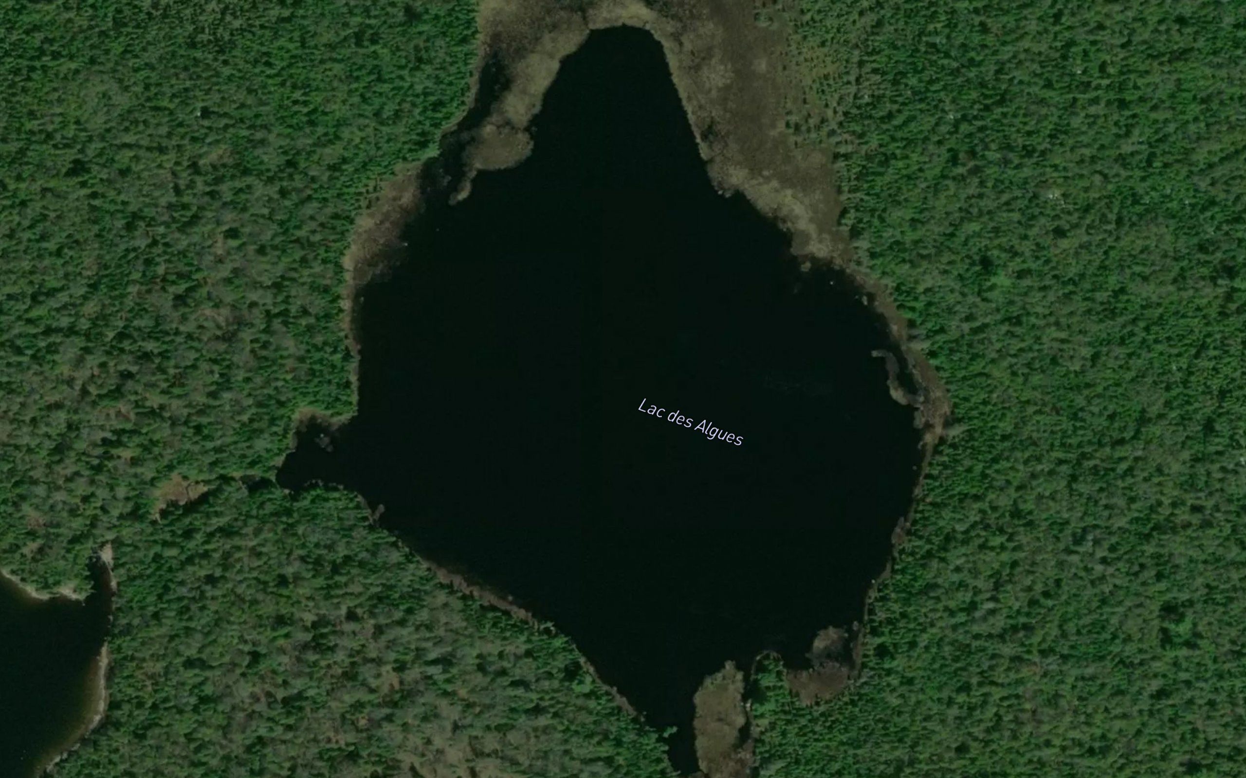 Lac des Algues