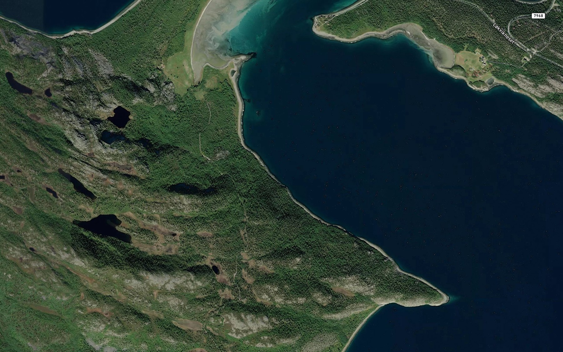 Satellite map of the Gambukta