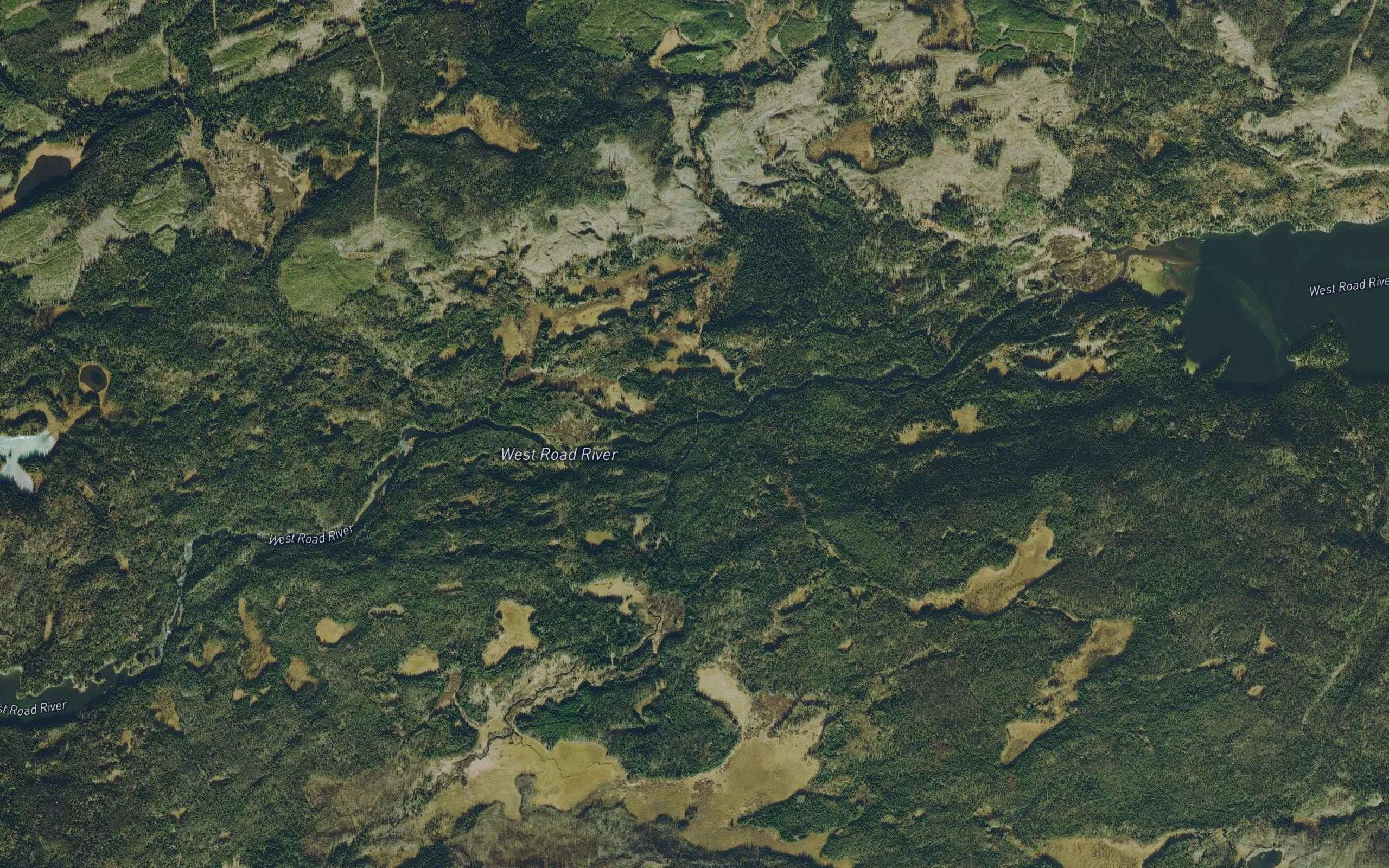 Kushya River