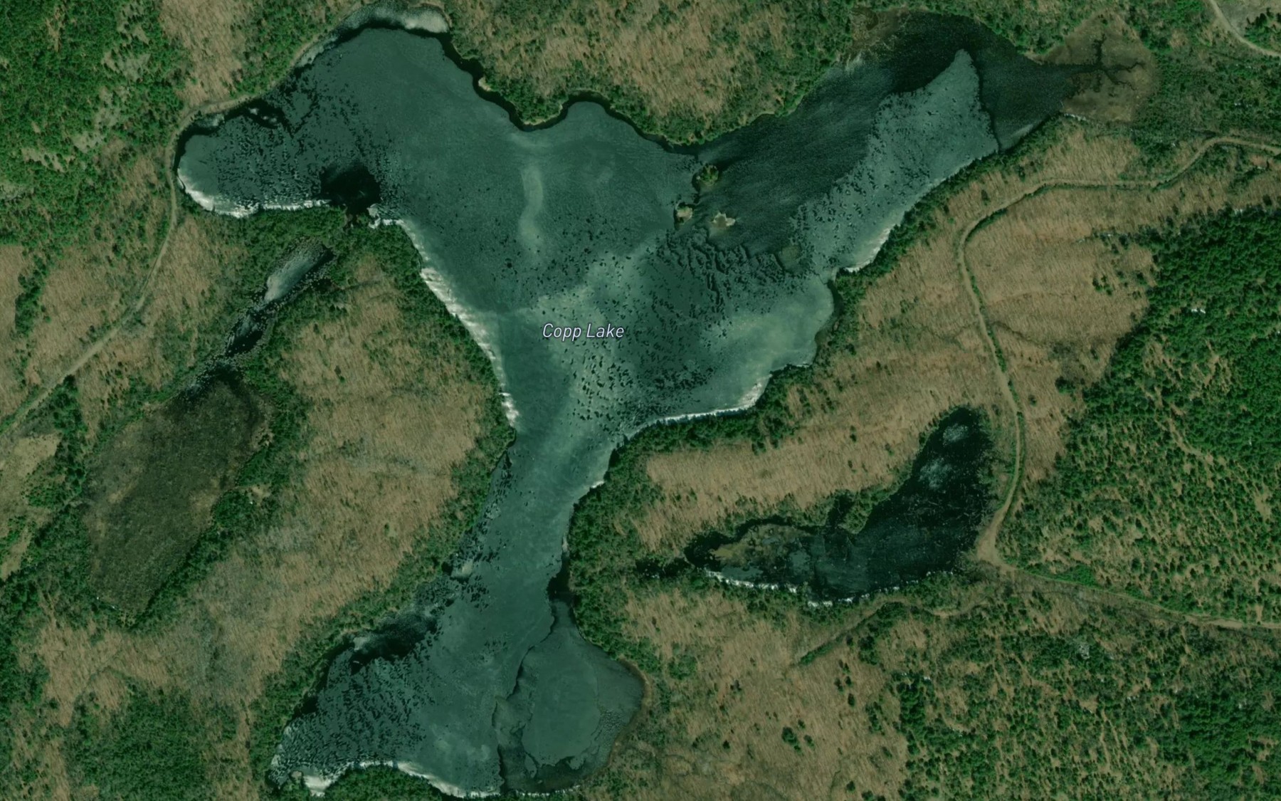 Satellite map of the Copp Lake