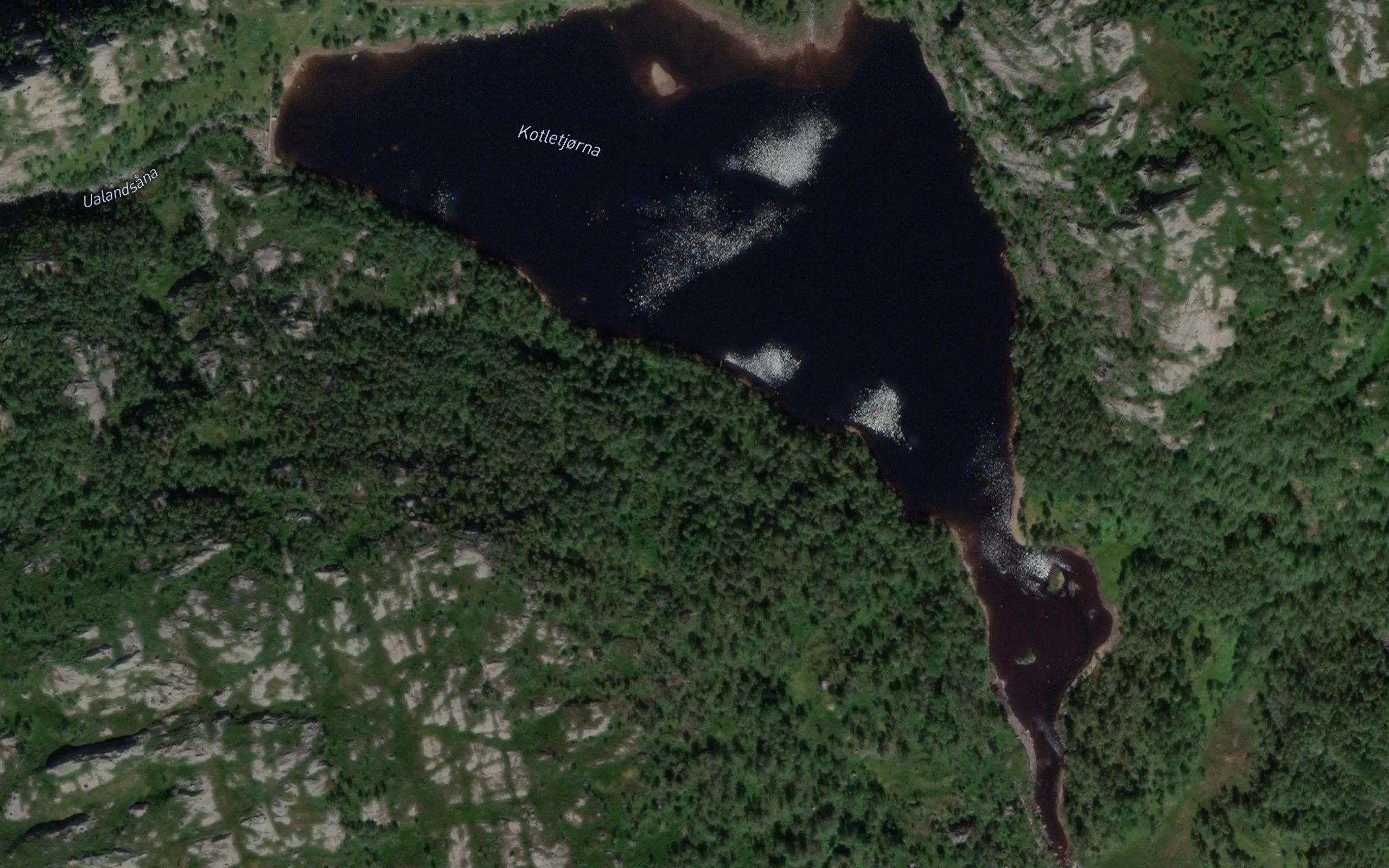 Kotletjorni