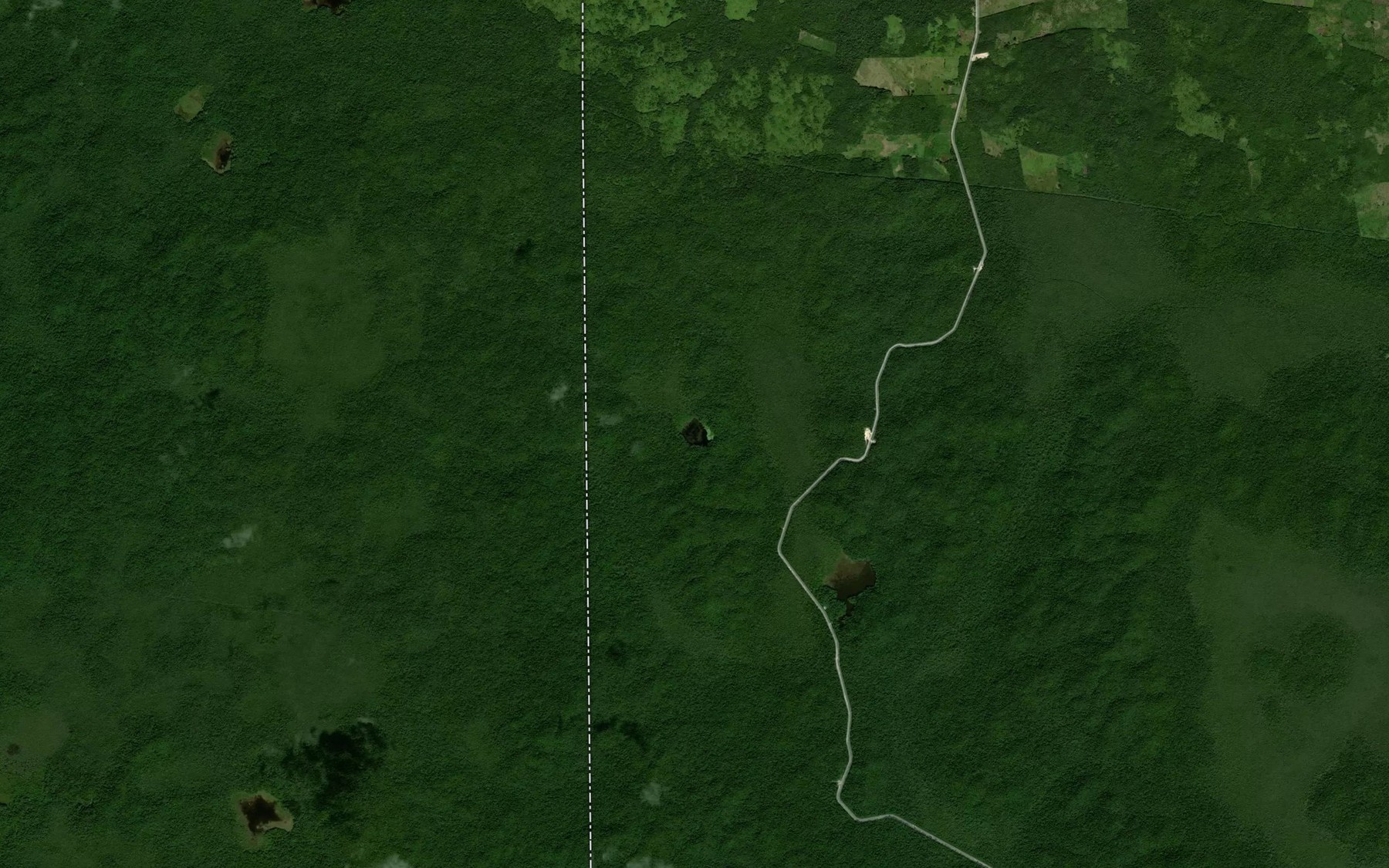 Satellite map of the Laguna Carmelita
