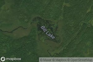 Bill Lake