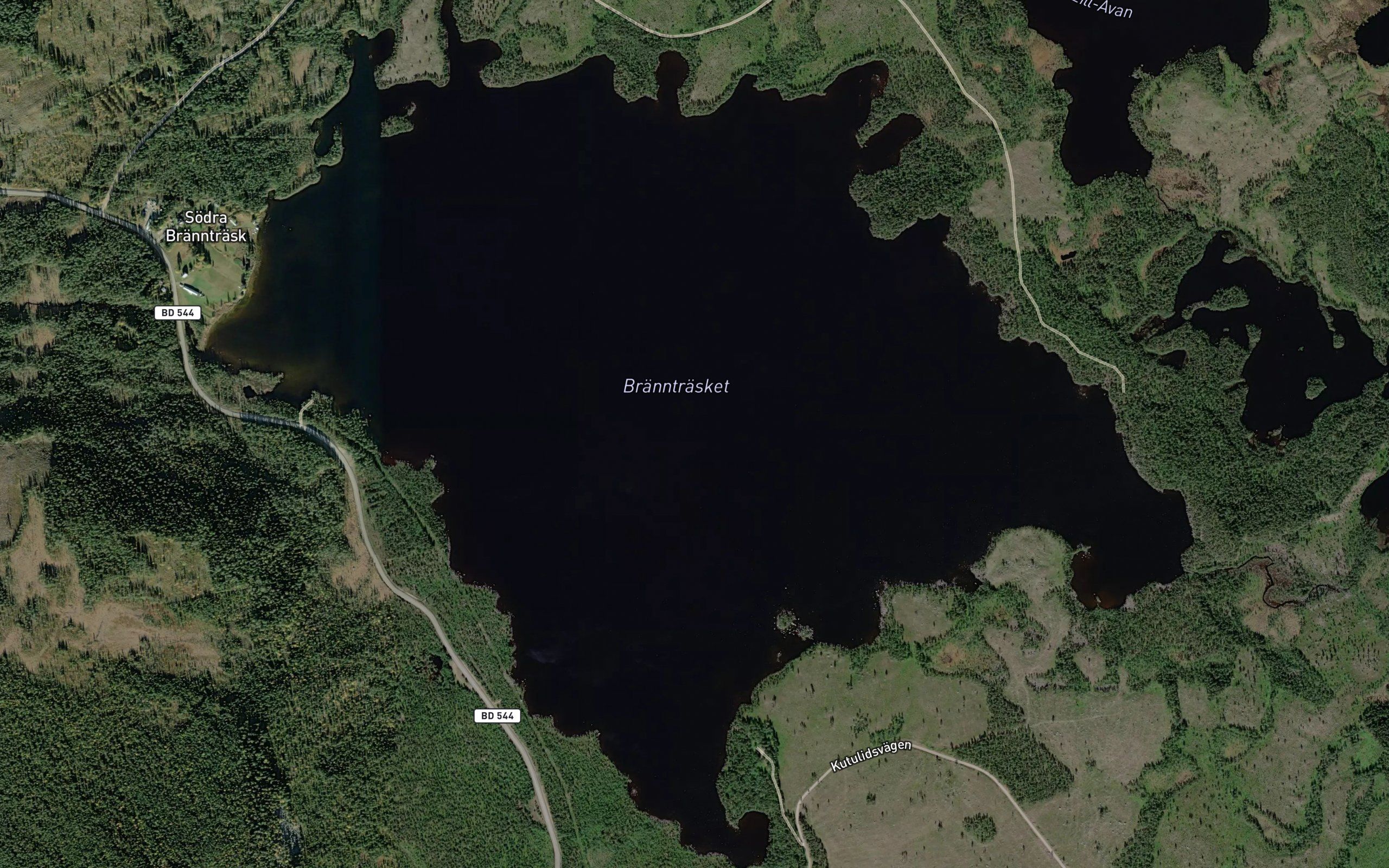 Braenntraesket