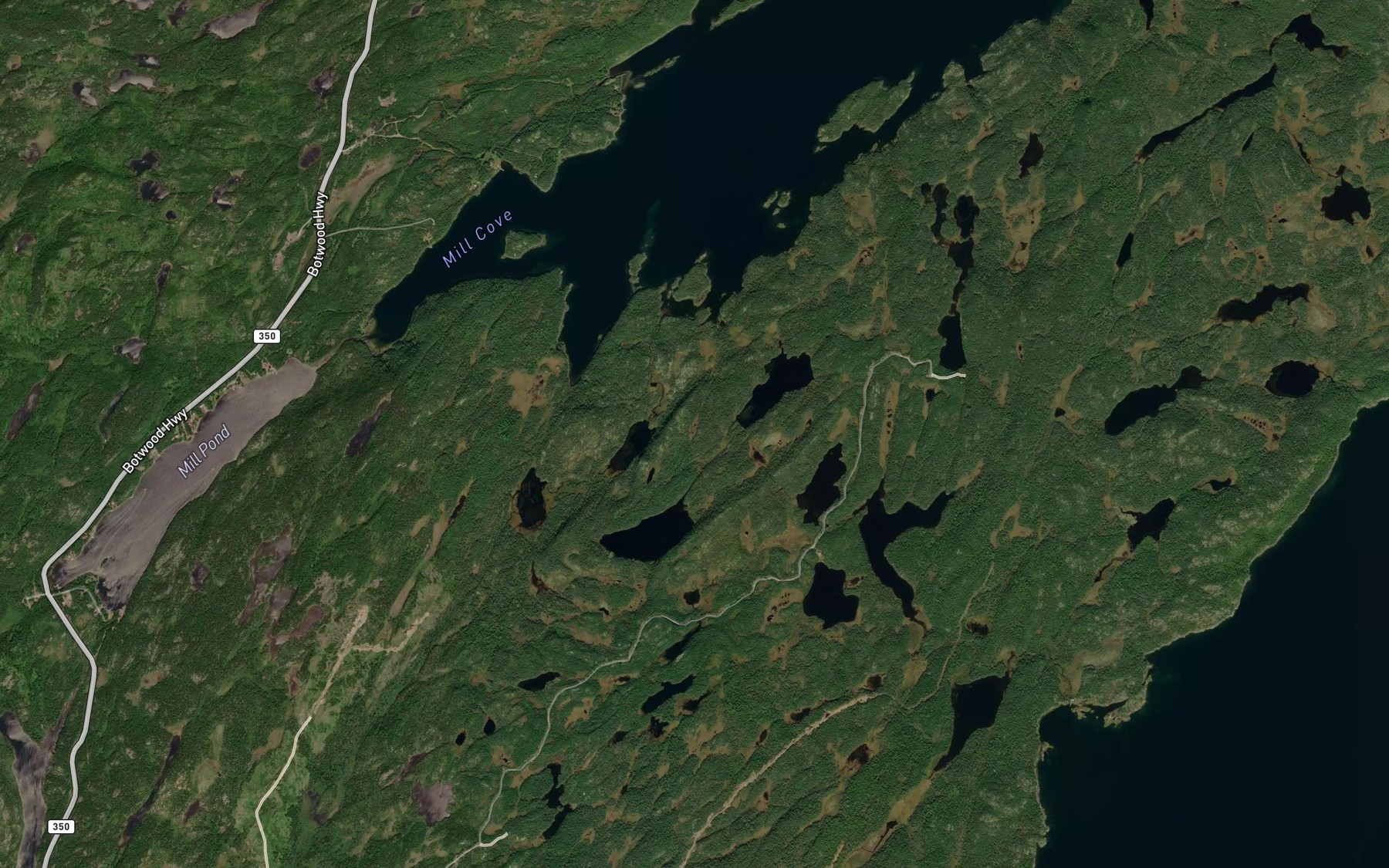 Satellite map of the Babies Cove Pond