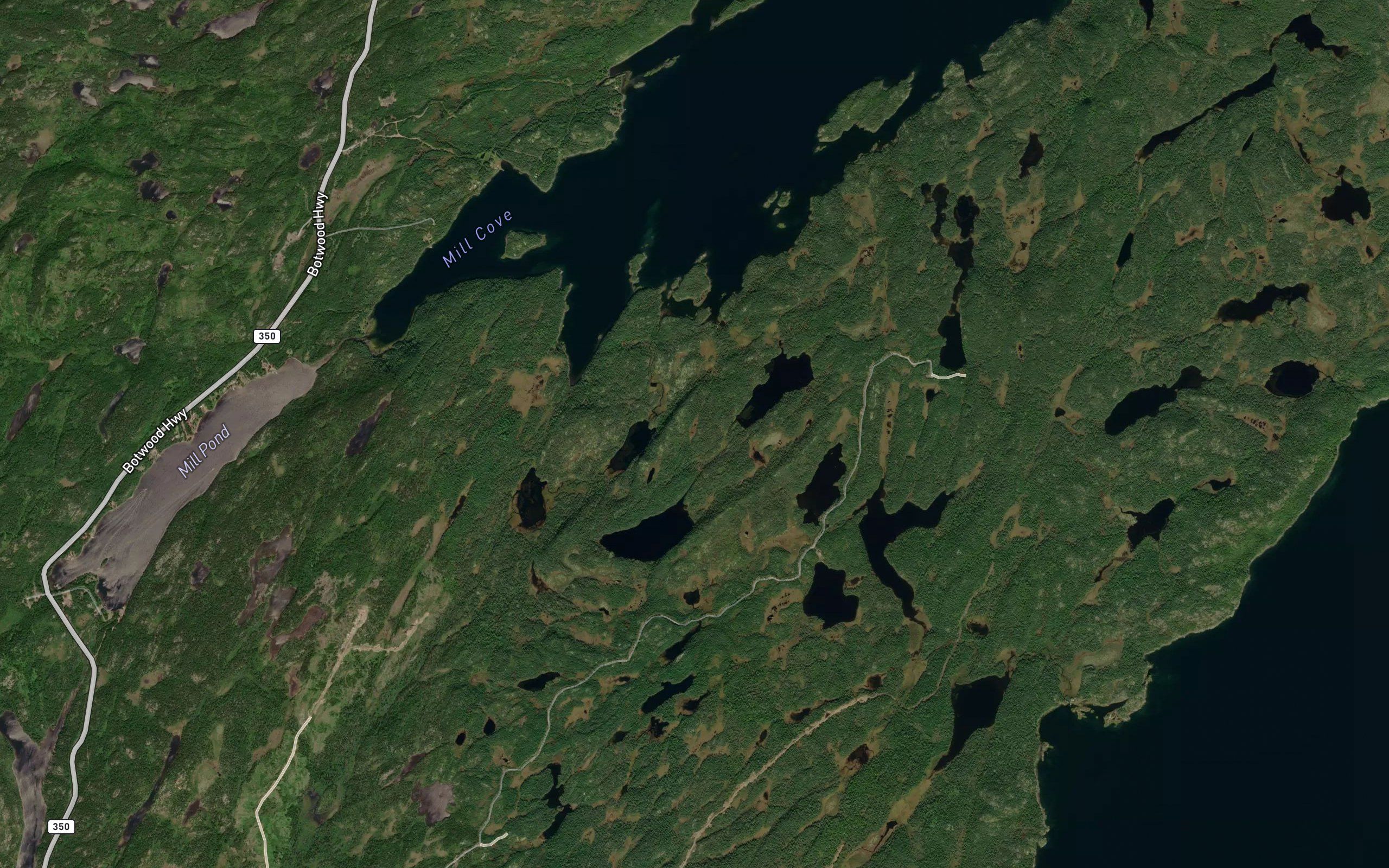 Babies Cove Pond
