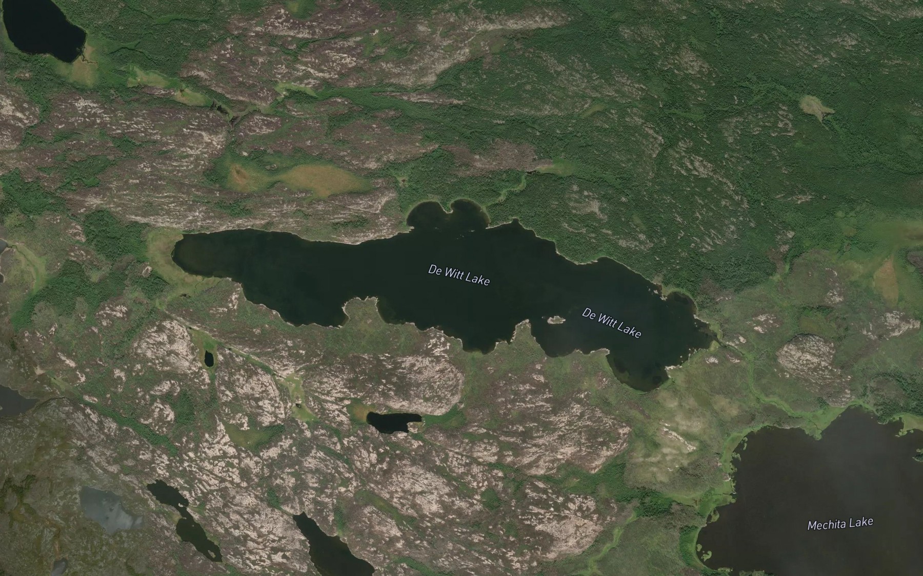 Satellite map of the De Witt Lake