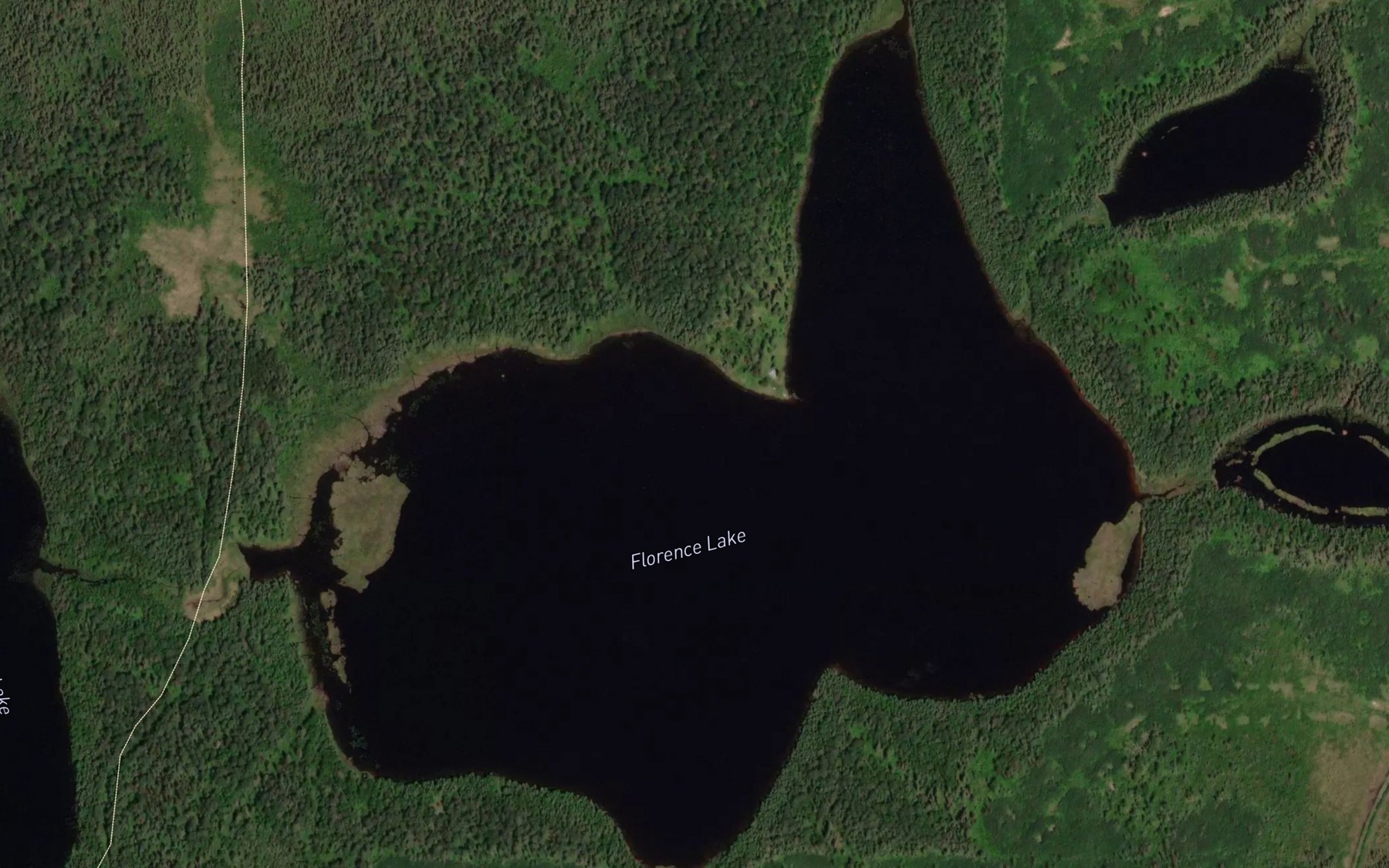Satellite map of the Florence Lake