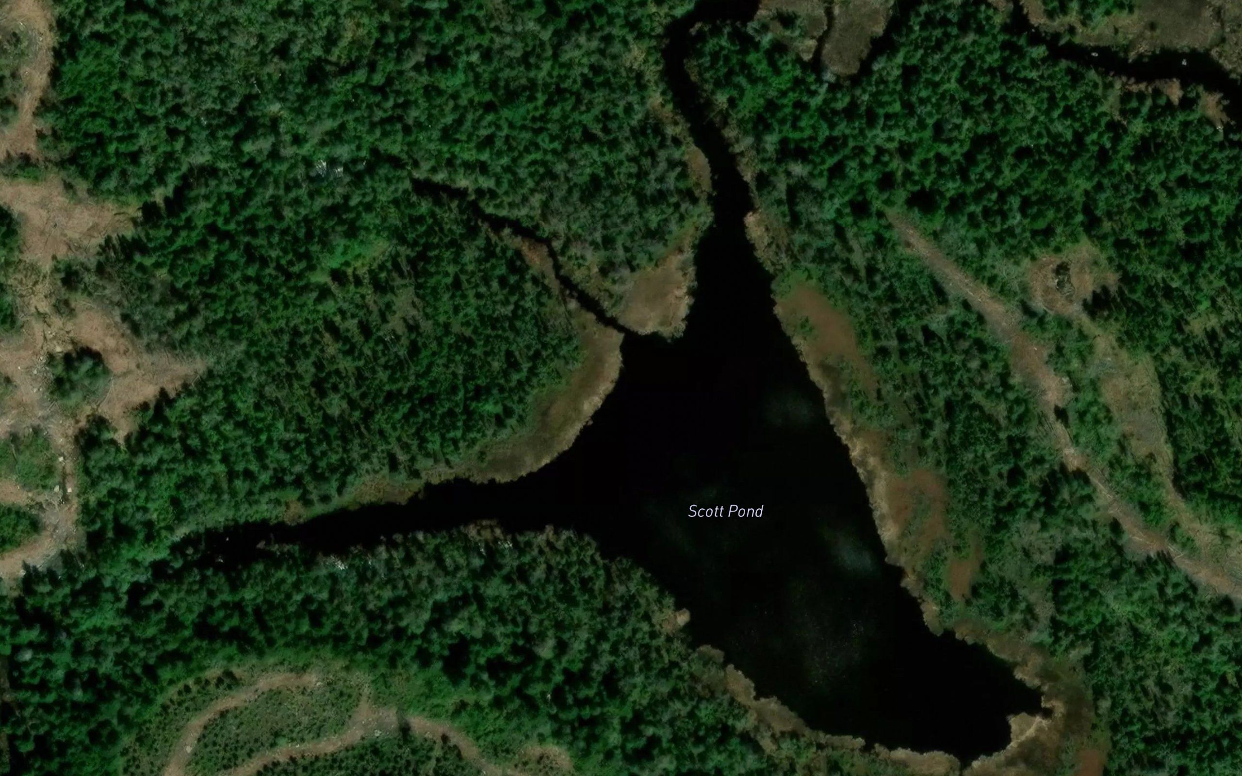 Scott Pond