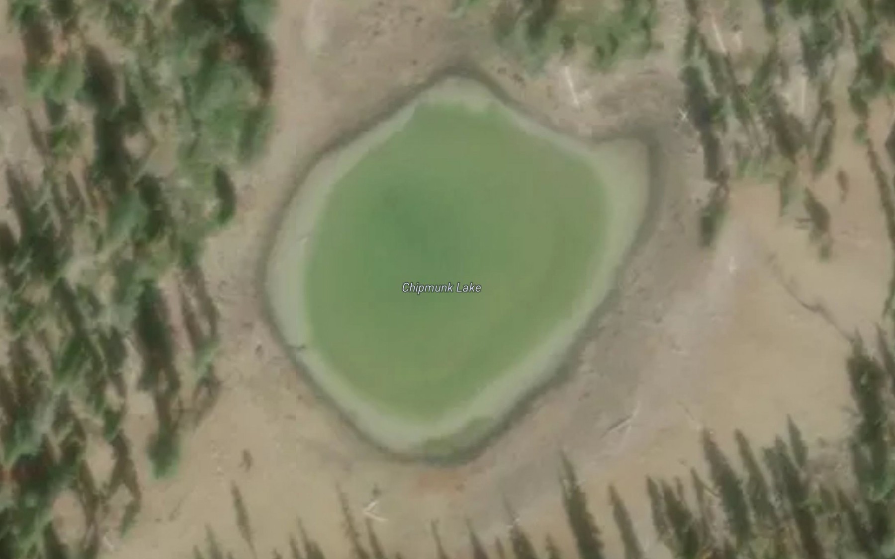 Satellite map of the Chipmunk Lake