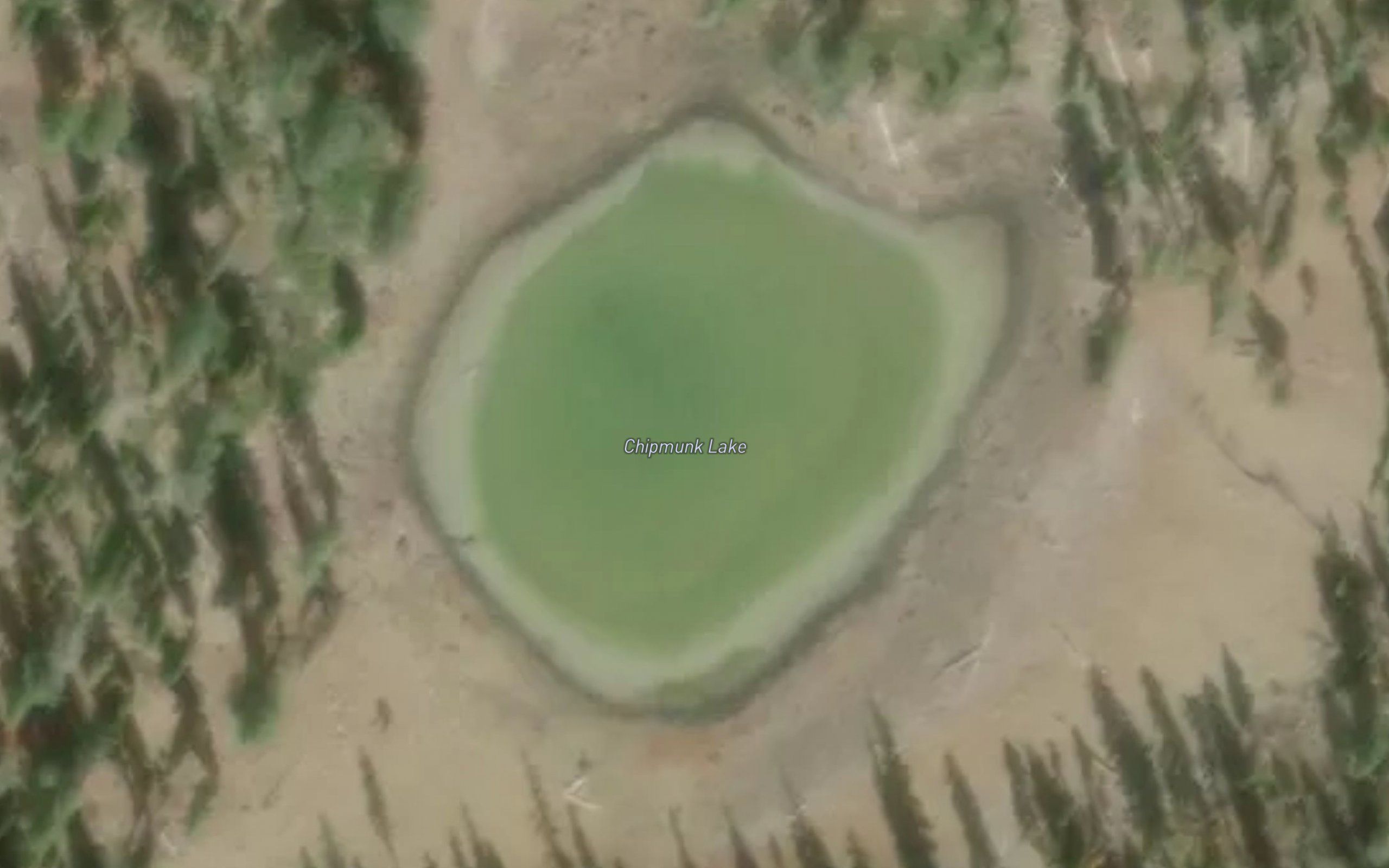 Chipmunk Lake