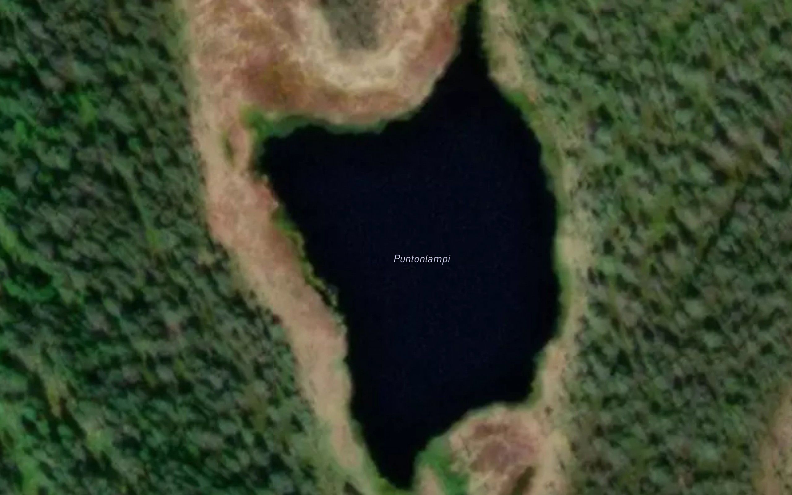 Puntonlampi