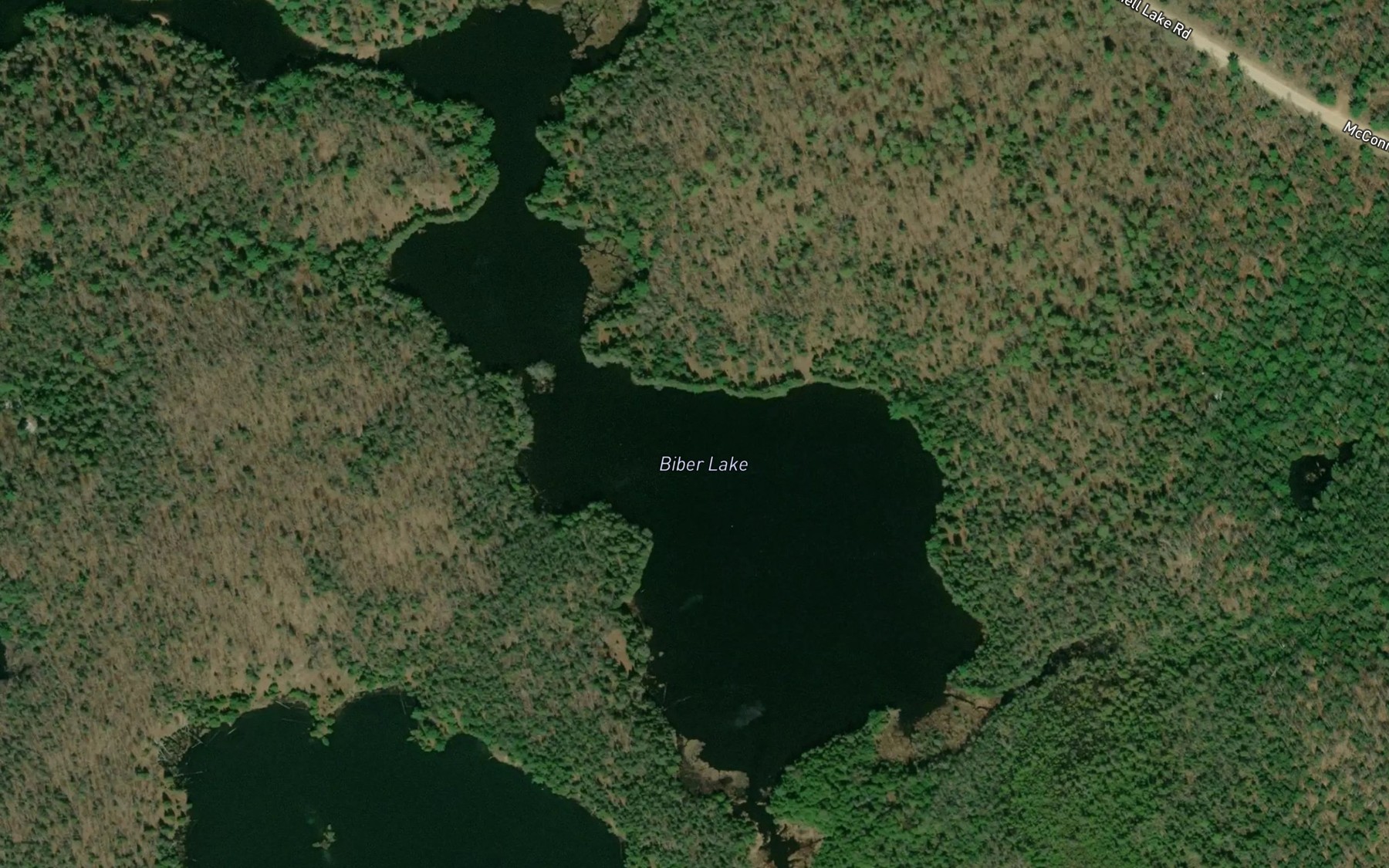 Satellite map of the Biber Lake