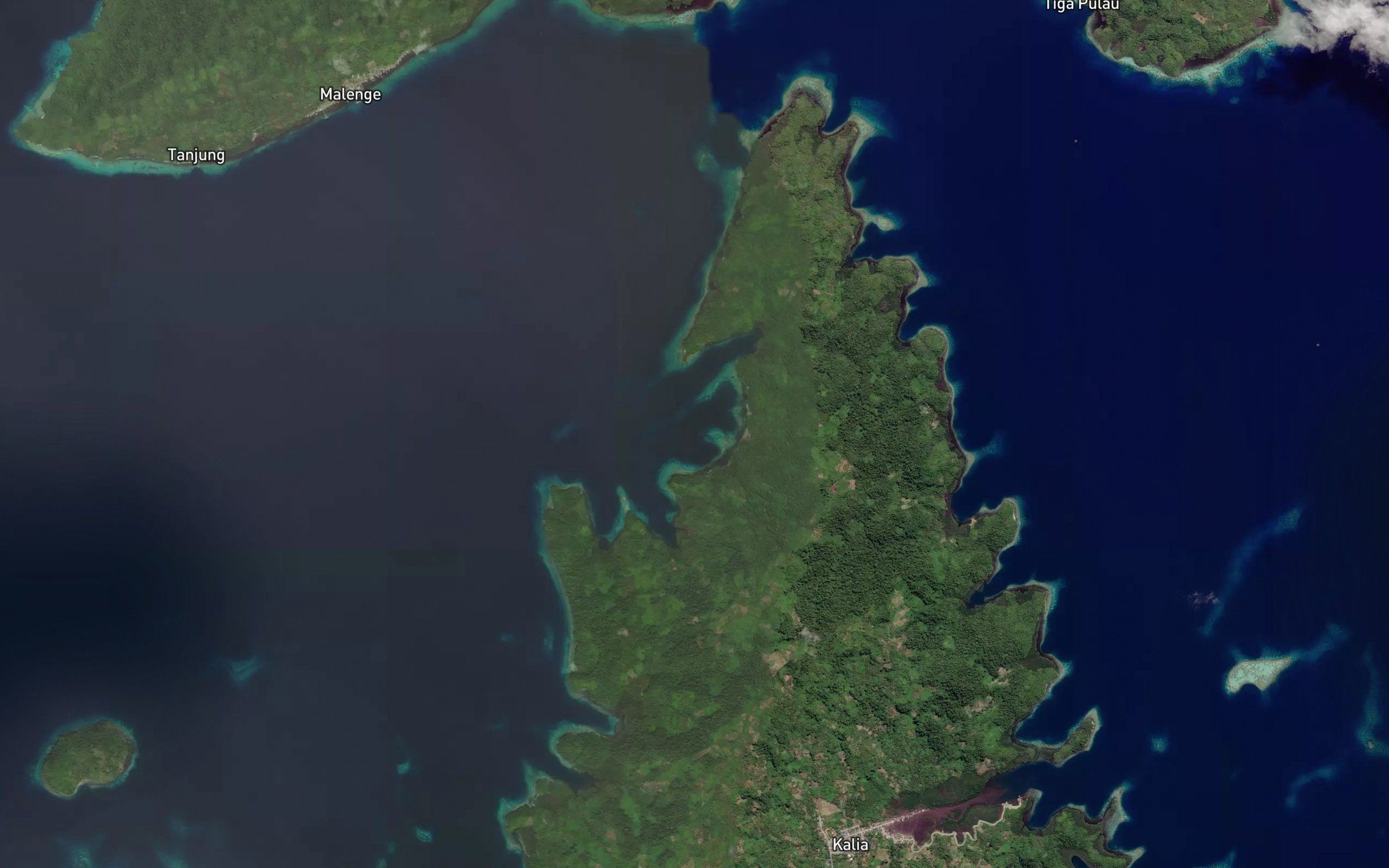 Teluk Tasimauno