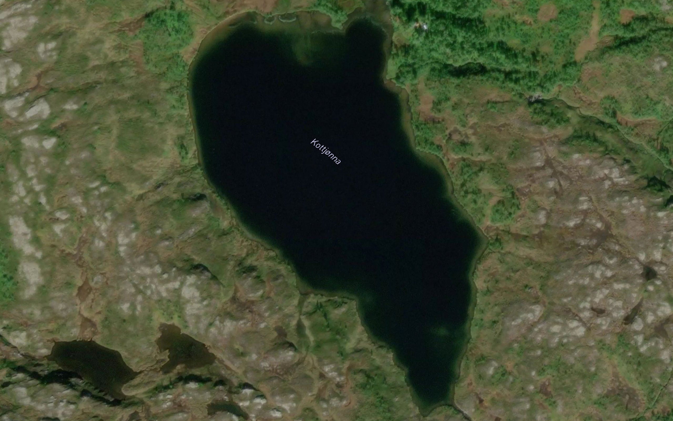 Kottjorna