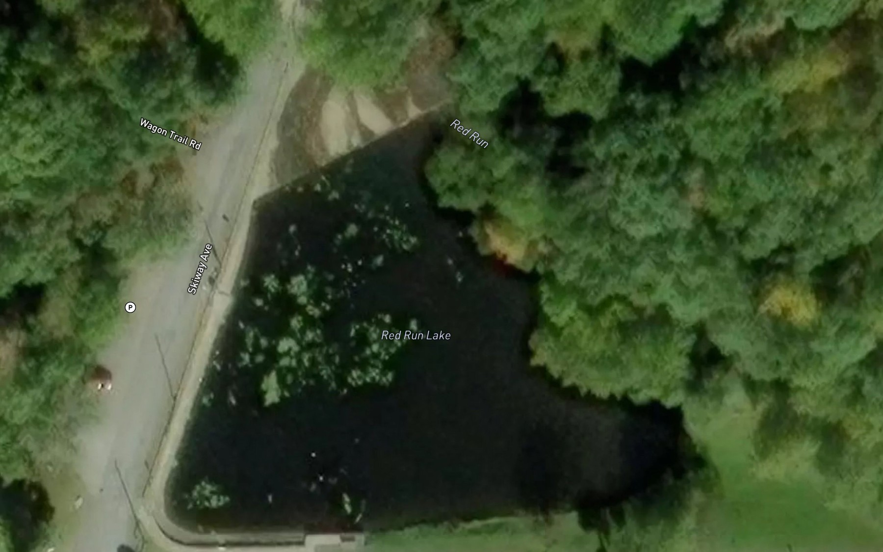 Satellite map of the Red Run Lake