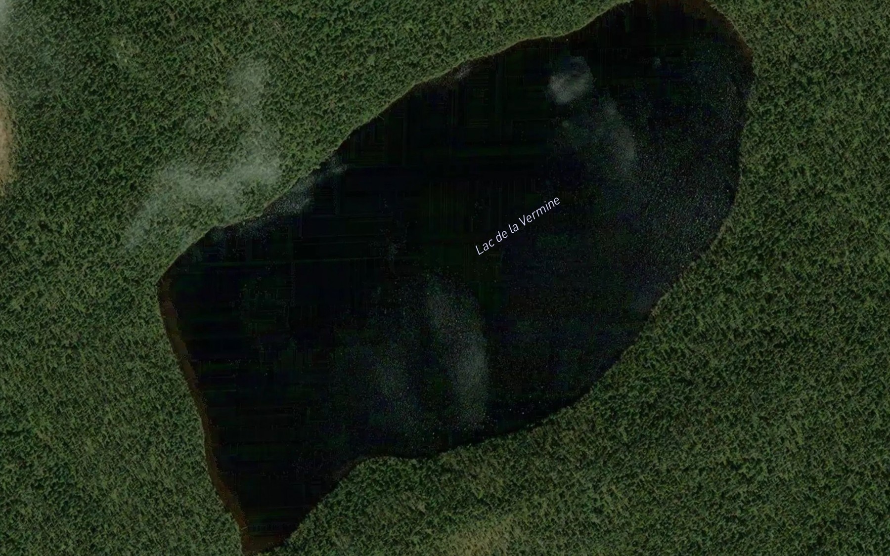 Satellite map of the Lac de la Vermine