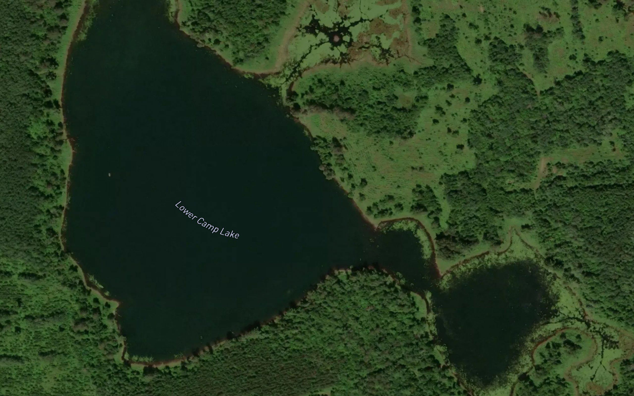 Lower Camp Lake