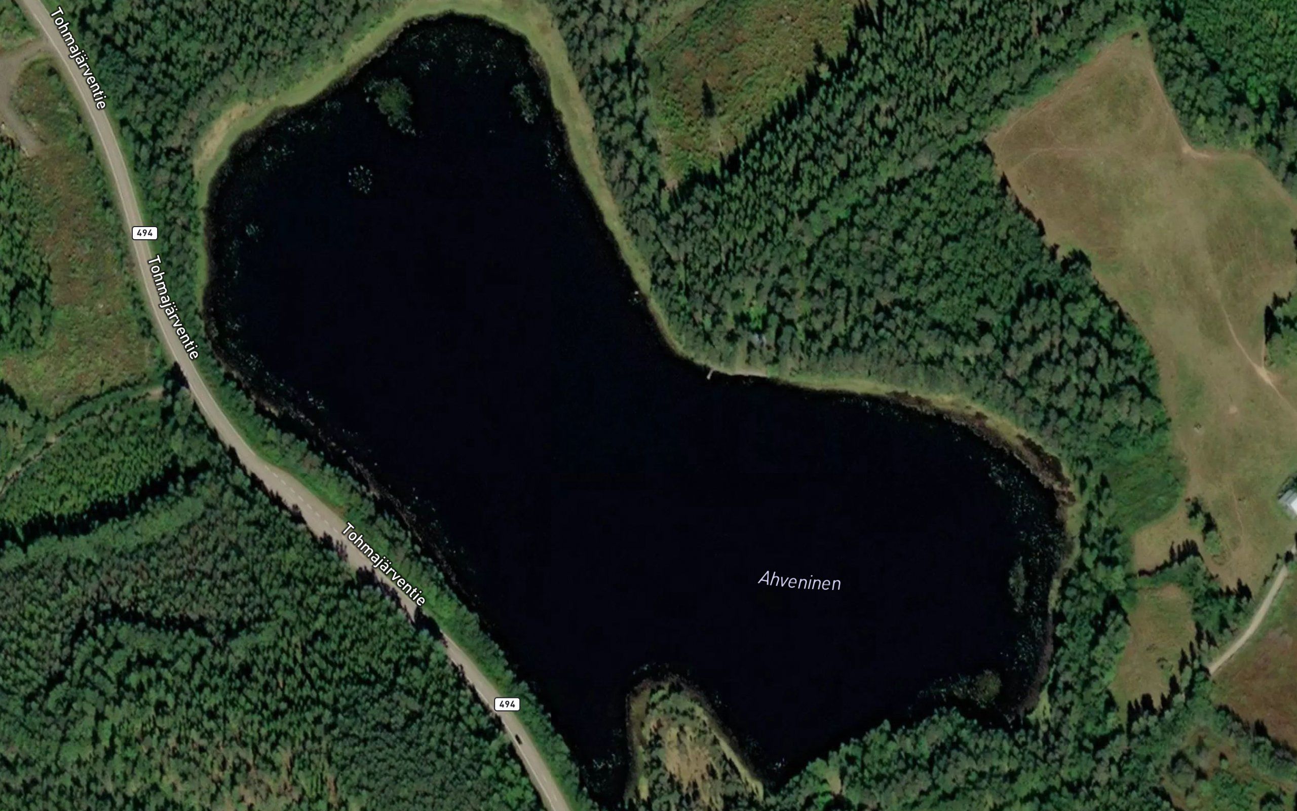 Ahveninen