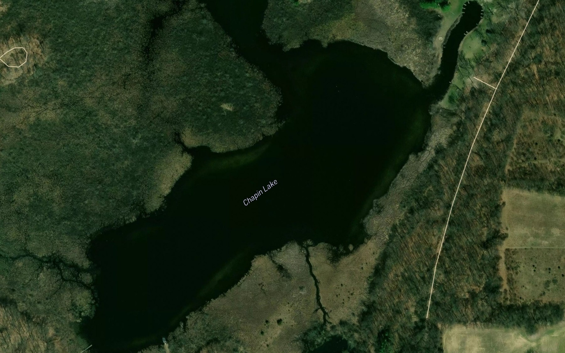 Satellite map of the Chapin Lake
