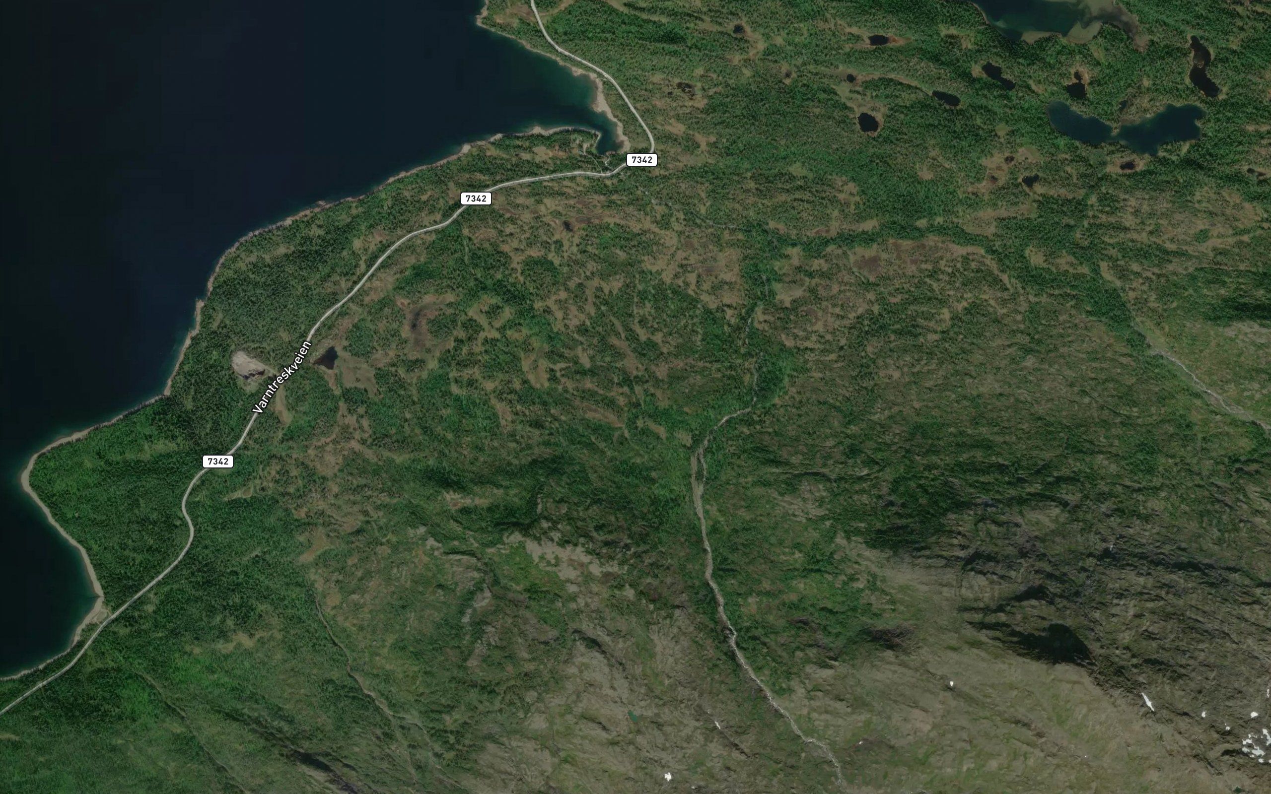 Lilleleirelva