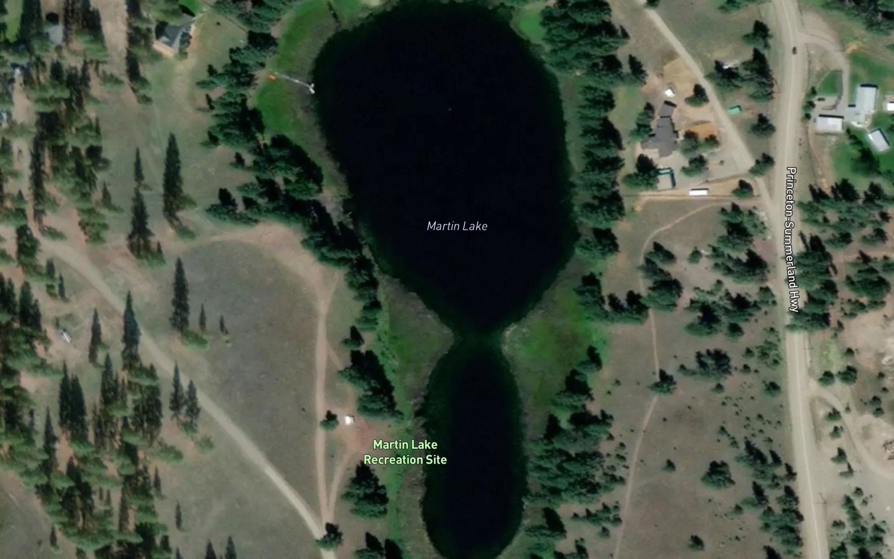 Satellite map of the Martin Lake