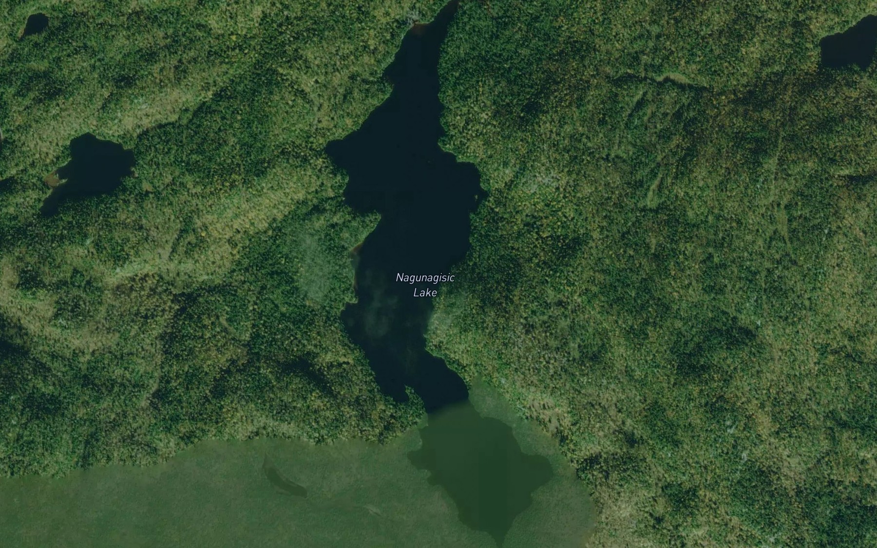 Satellite map of the Nagunagisic Lake