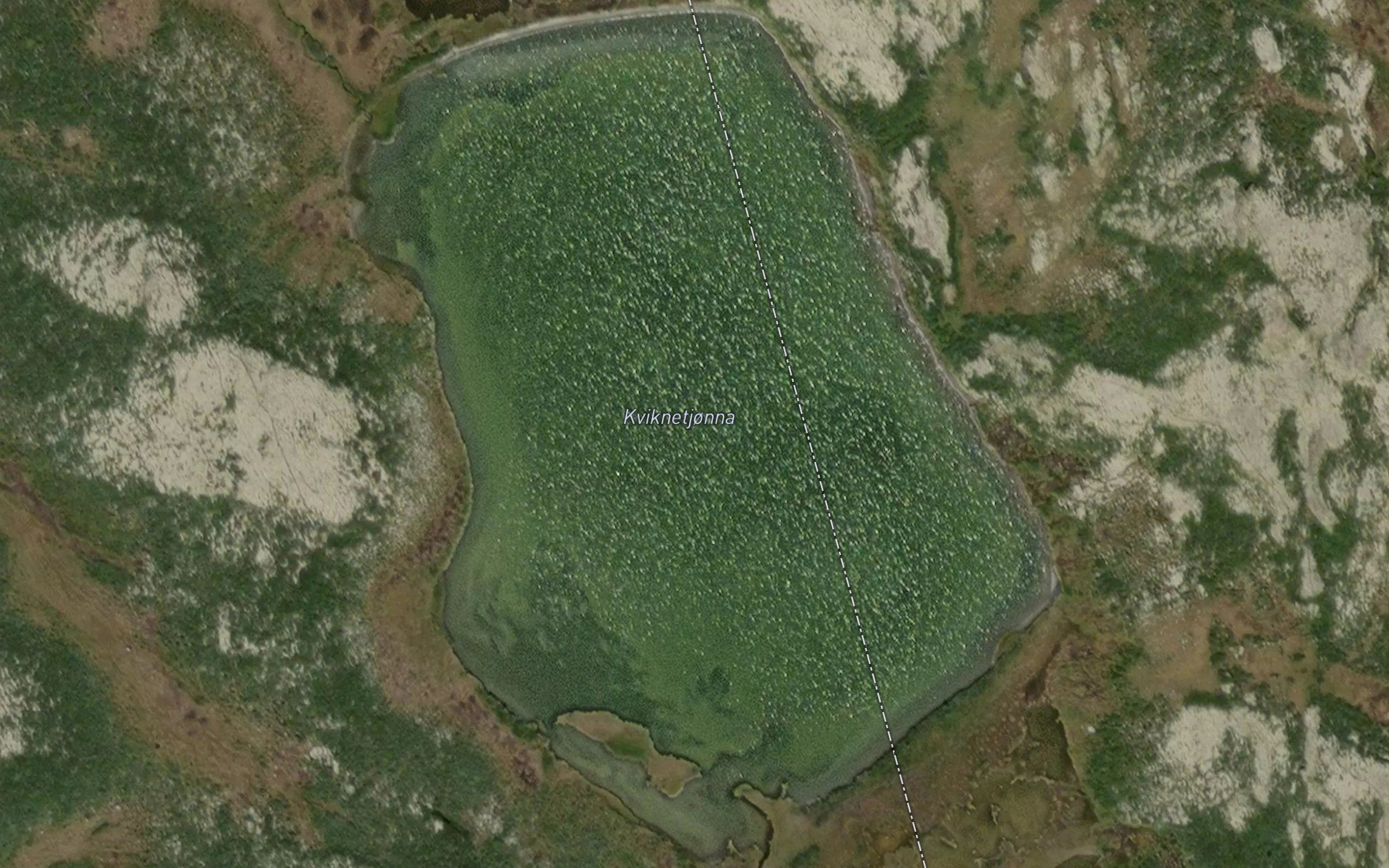 Kviknetjorna