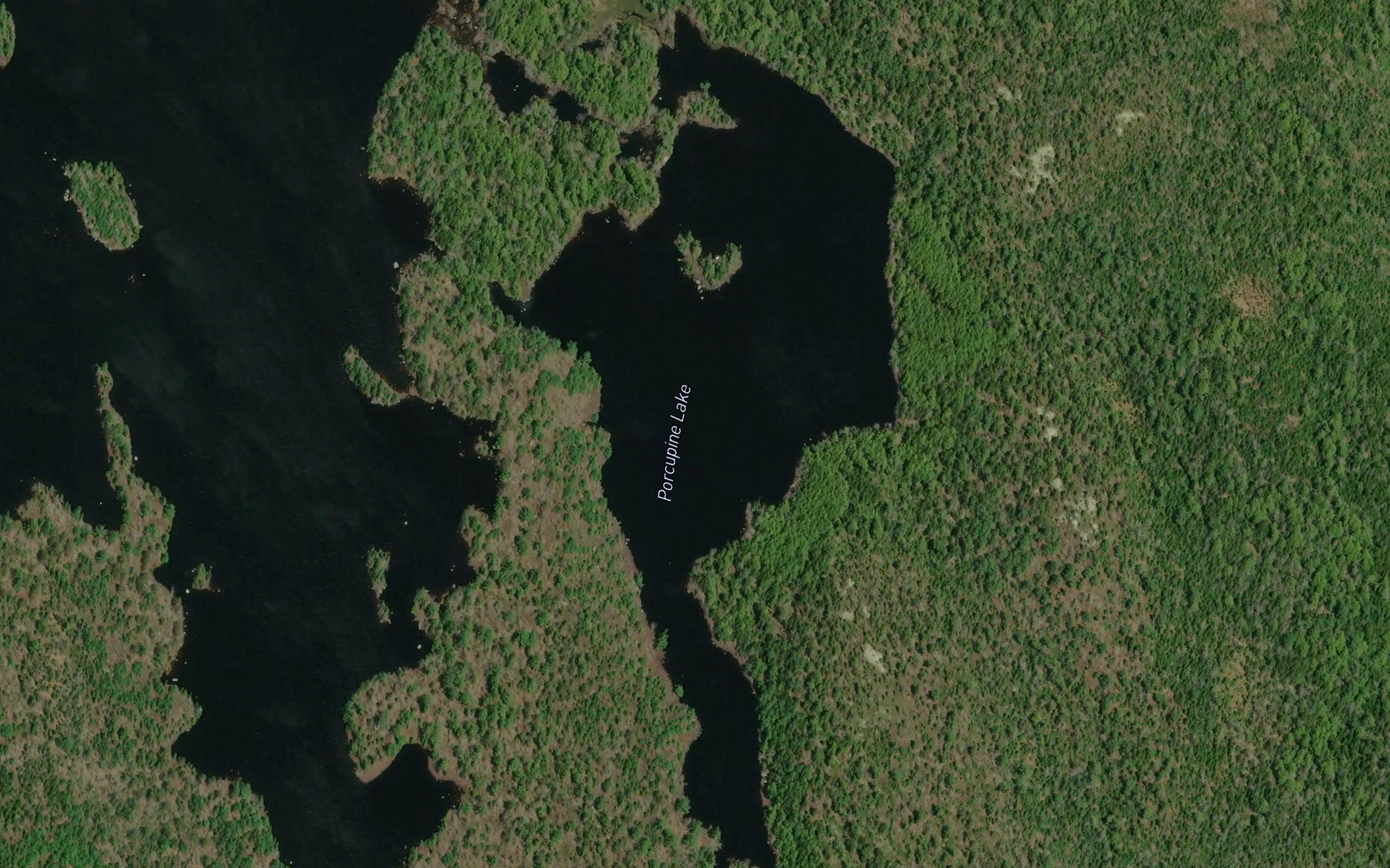 Porcupine Lake