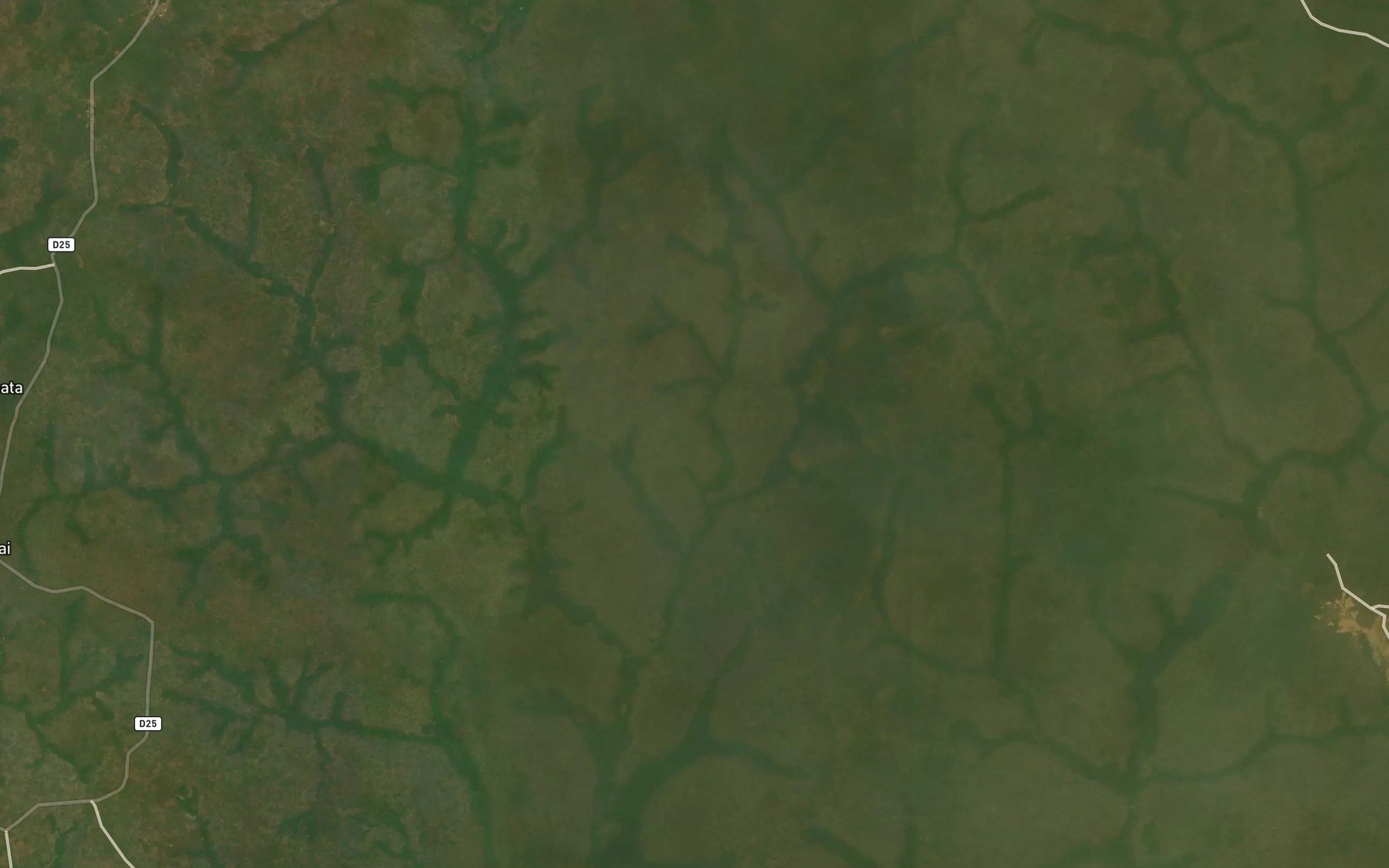 Satellite map of the Forko