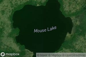 Mouse Lake