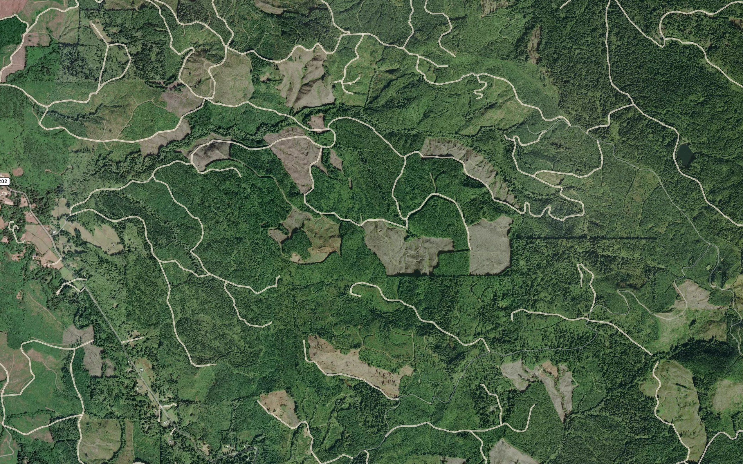 Perkins Creek