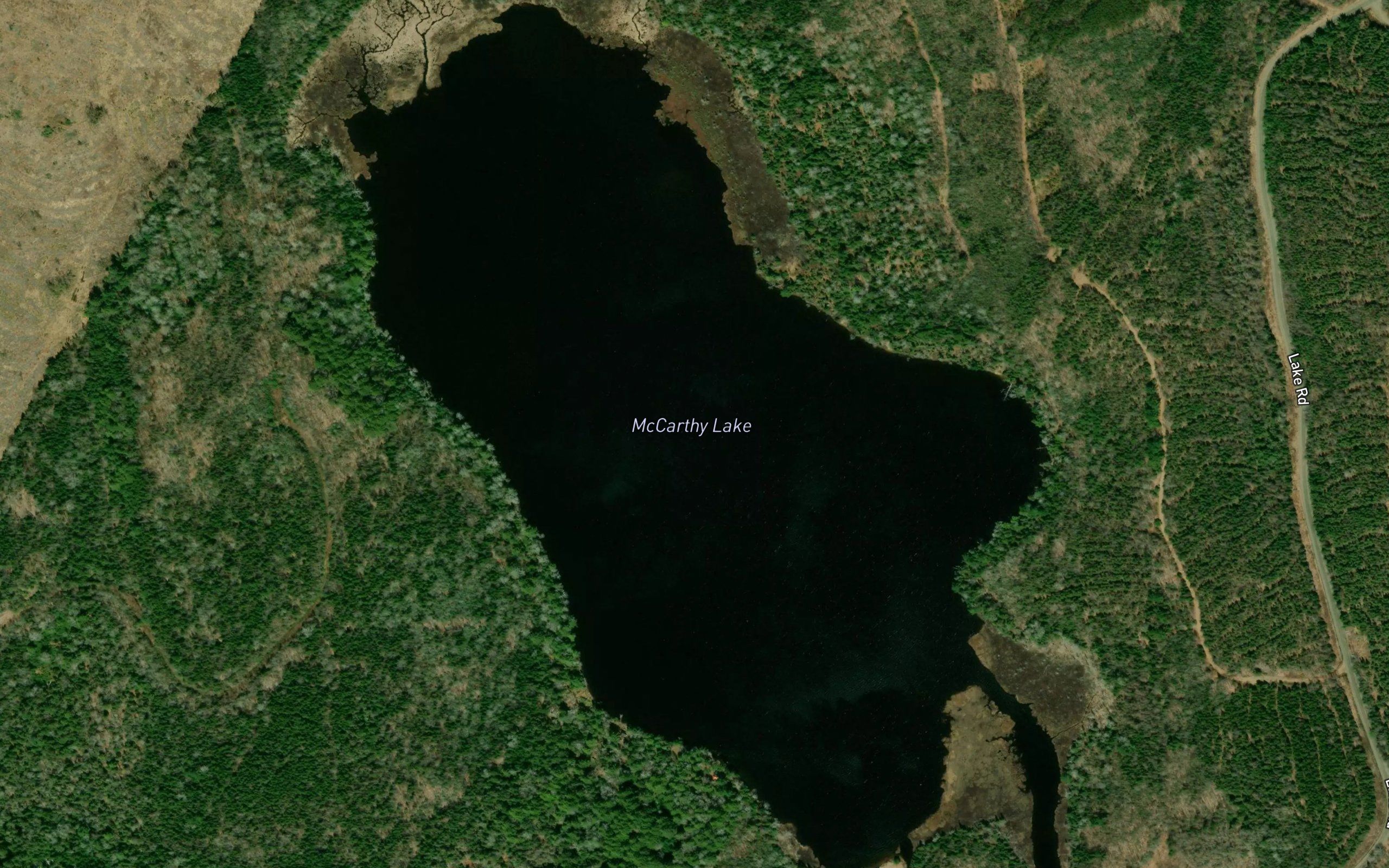 McCarthy Lake