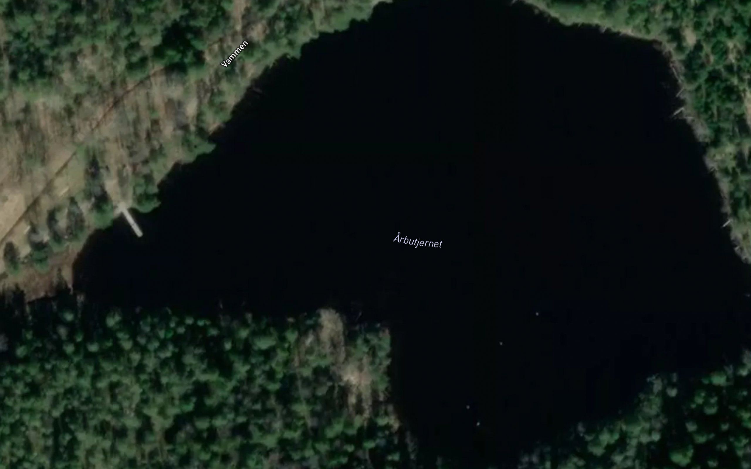 Arbutjern