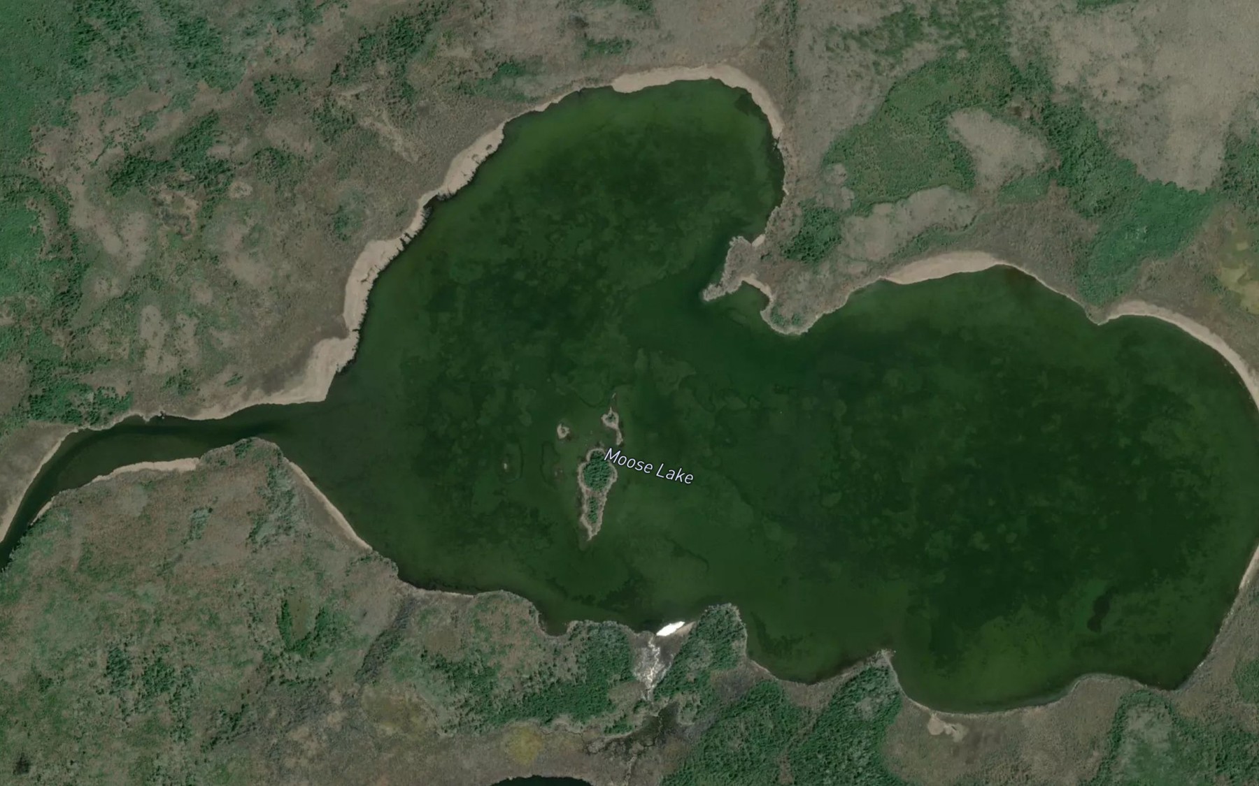 Satellite map of the Moose Lake