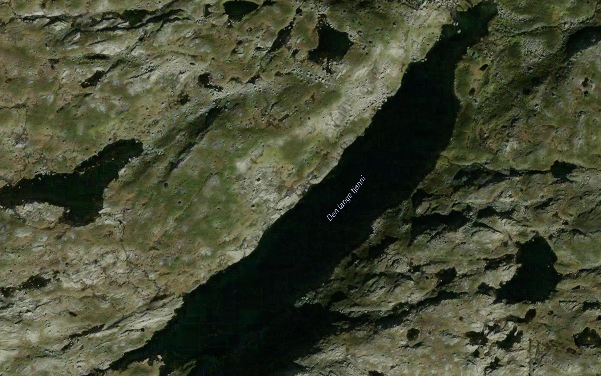 Den lange tjorni