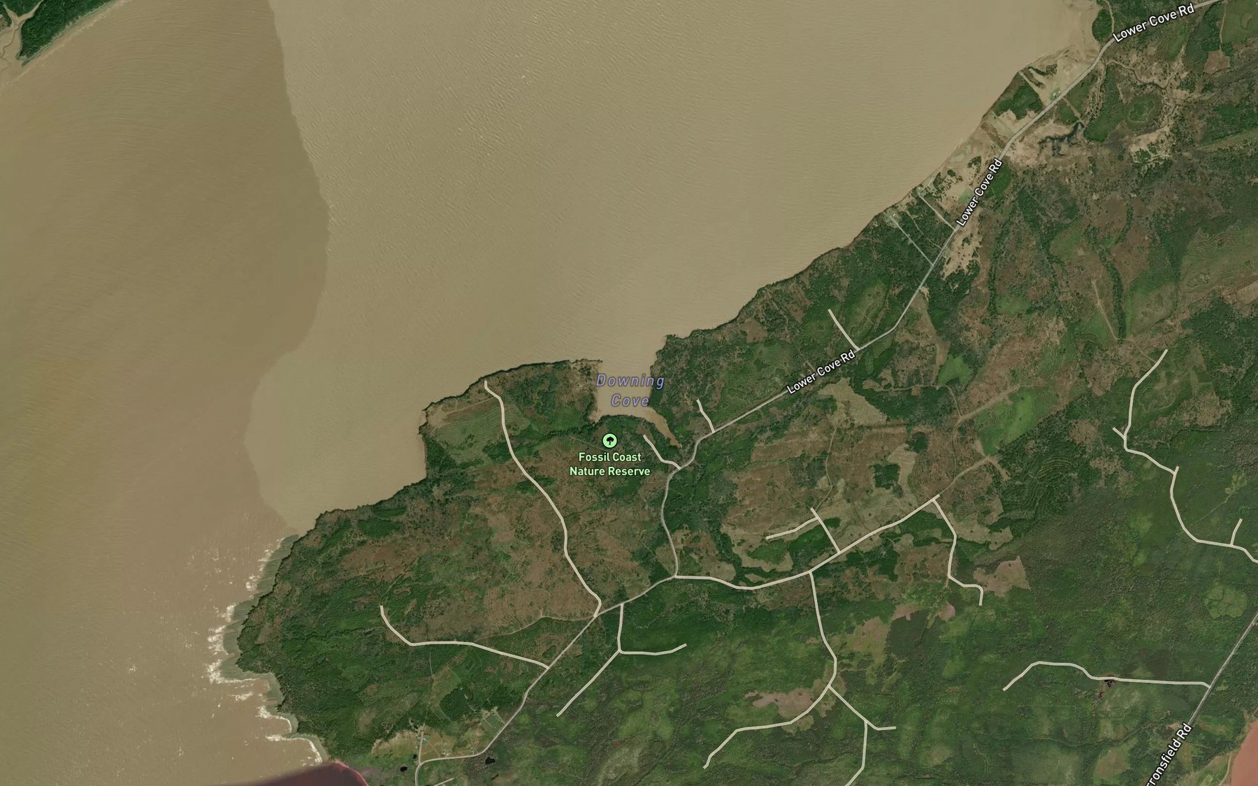 Satellite map of the Downing Cove