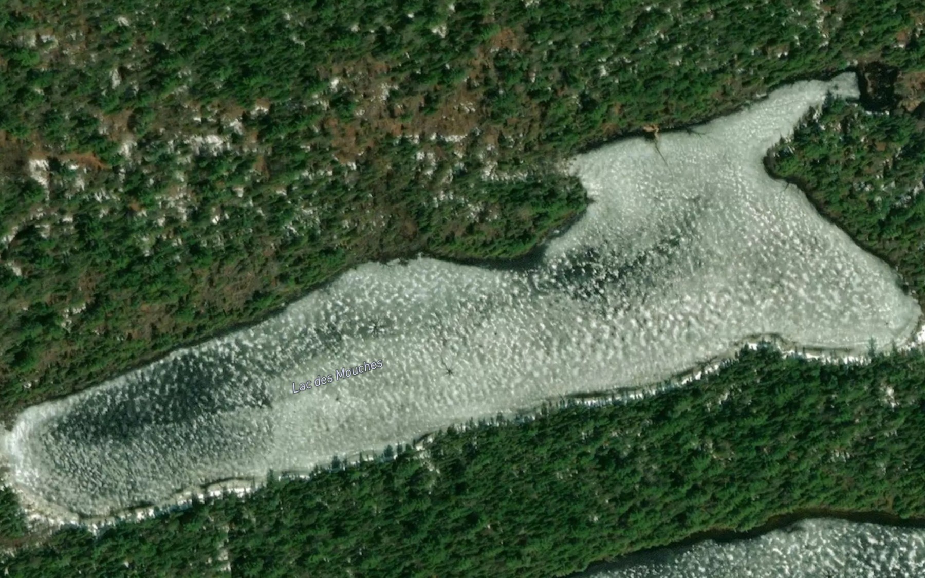 Satellite map of the Lac des Mouches