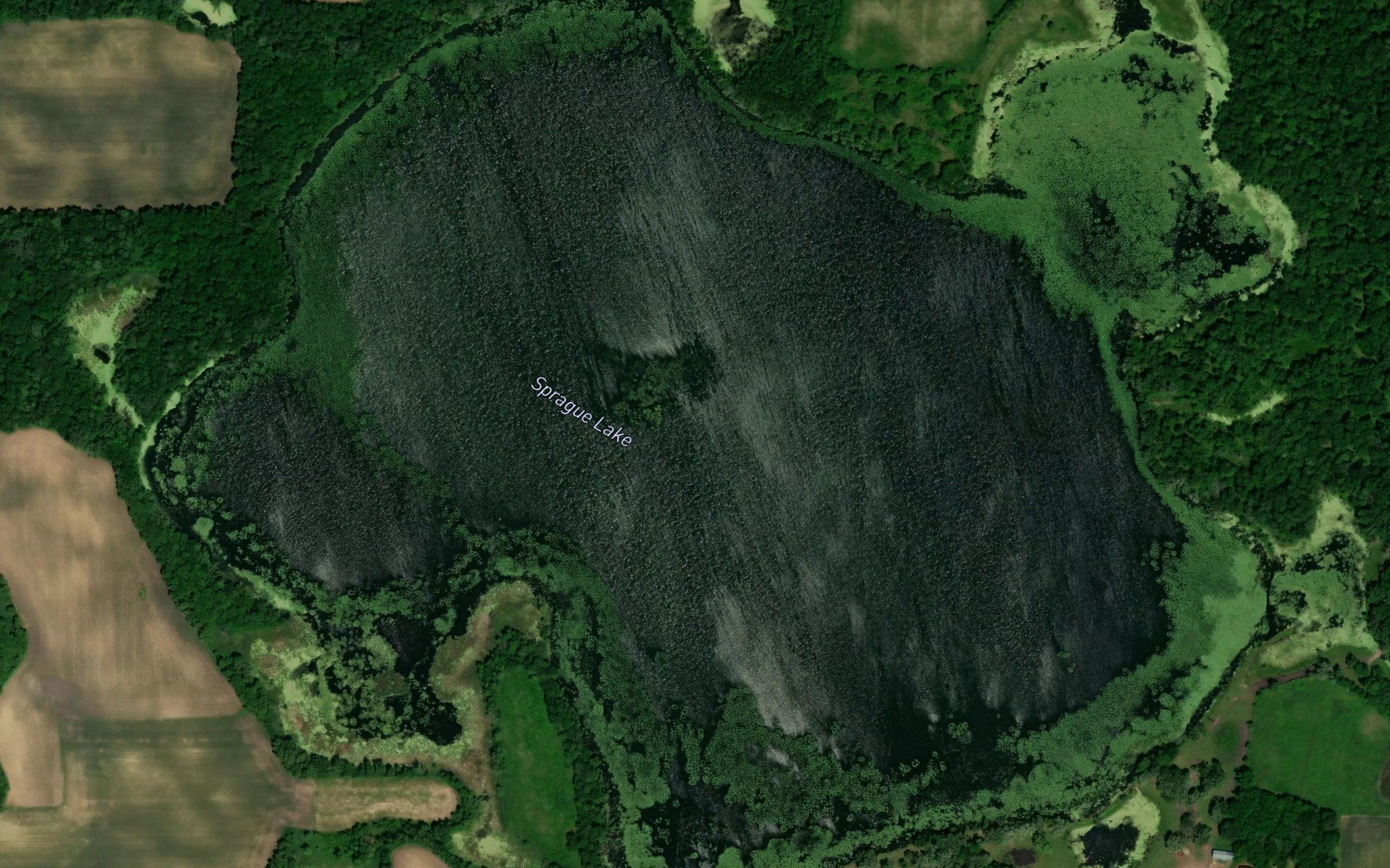 Sprague Lake