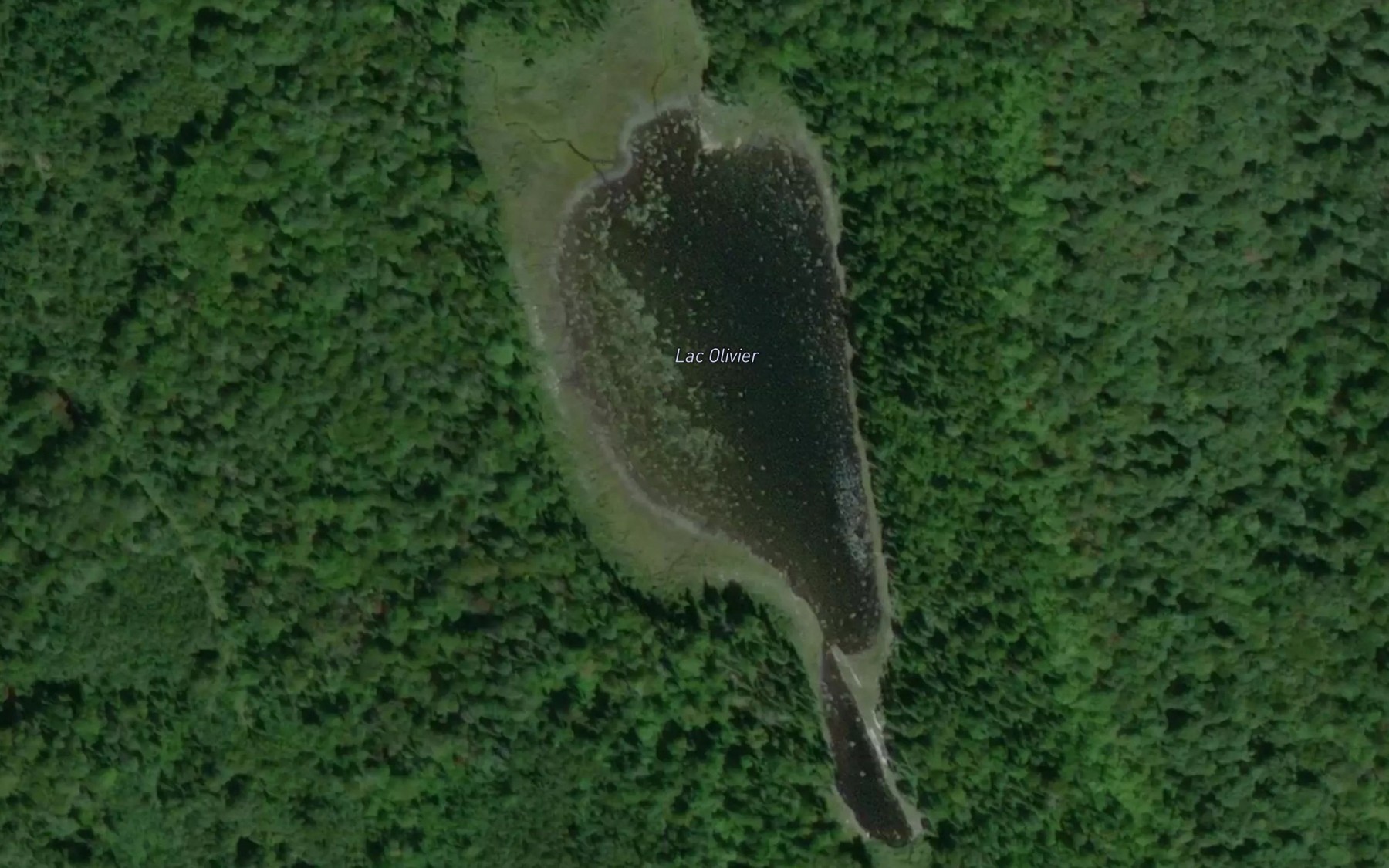 Satellite map of the Lac Olivier