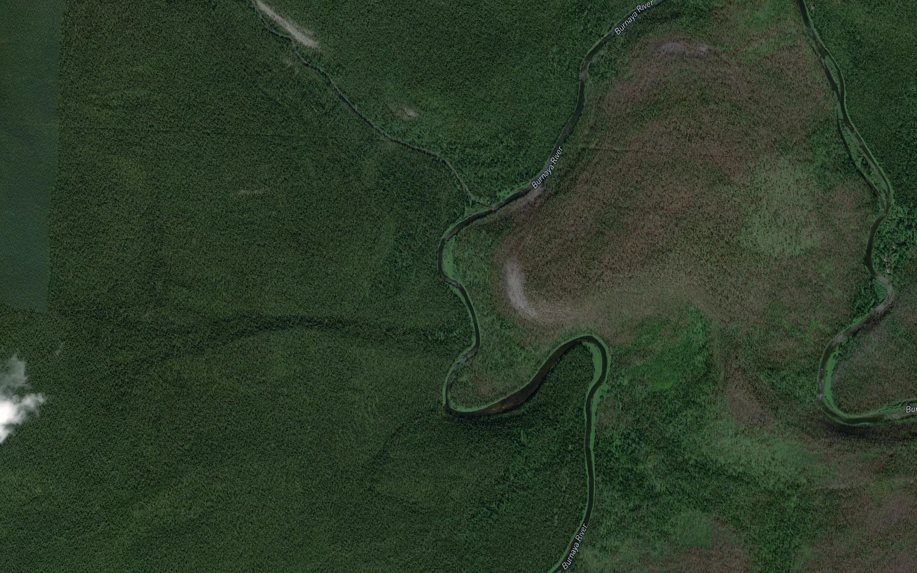 Satellite map of the Nizhneorlinaya