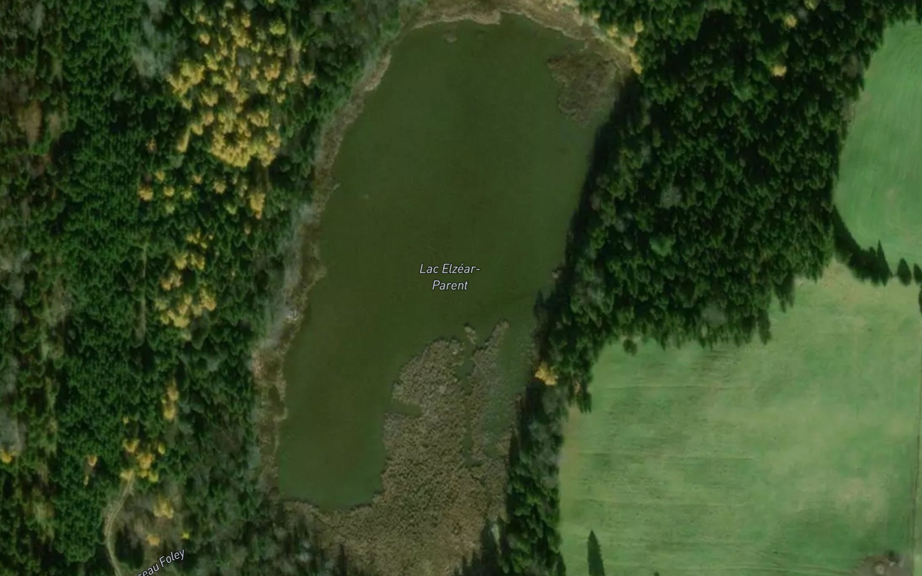 Satellite map of the Lac Elzear-Parent