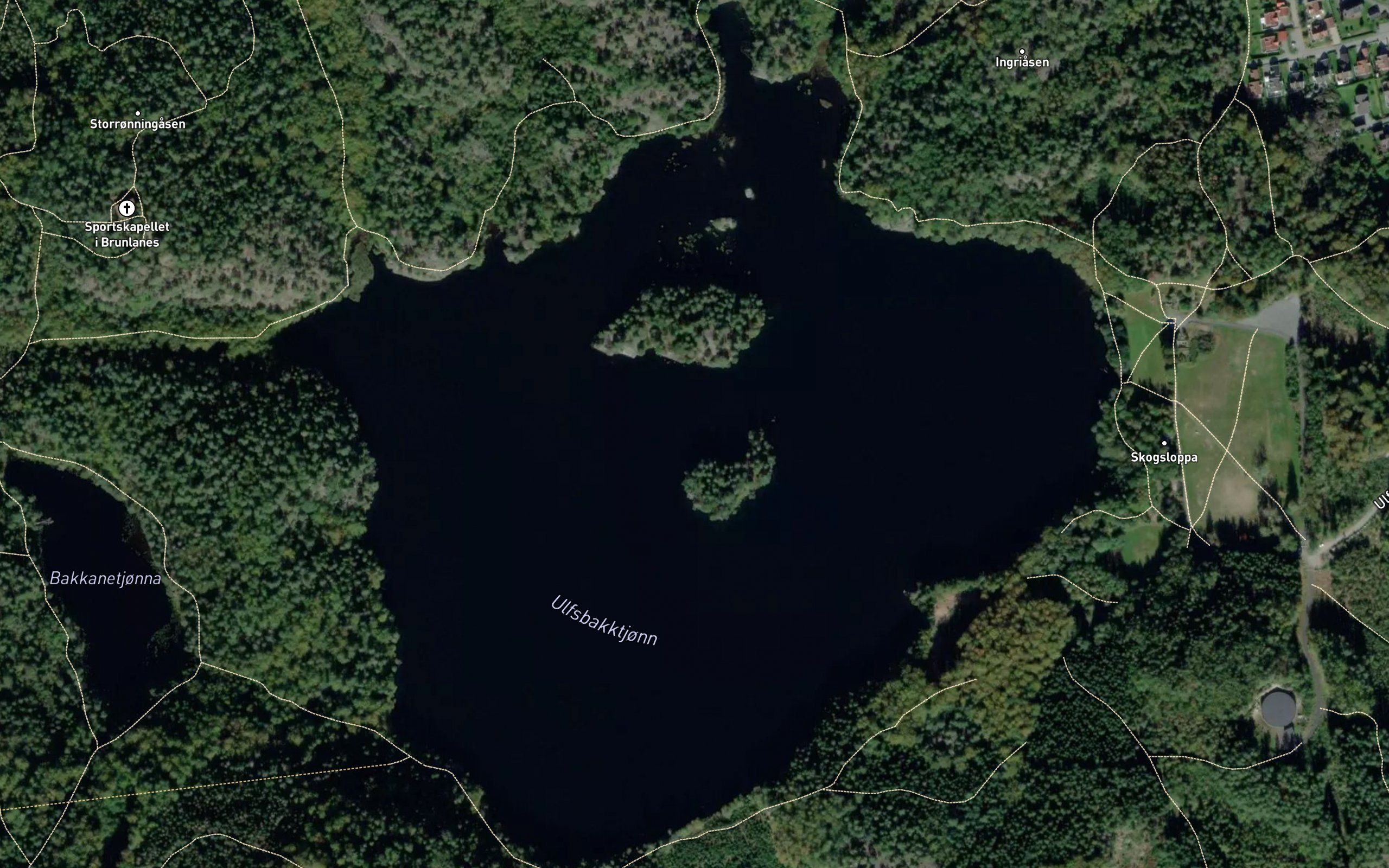 Ulfsbakktjern
