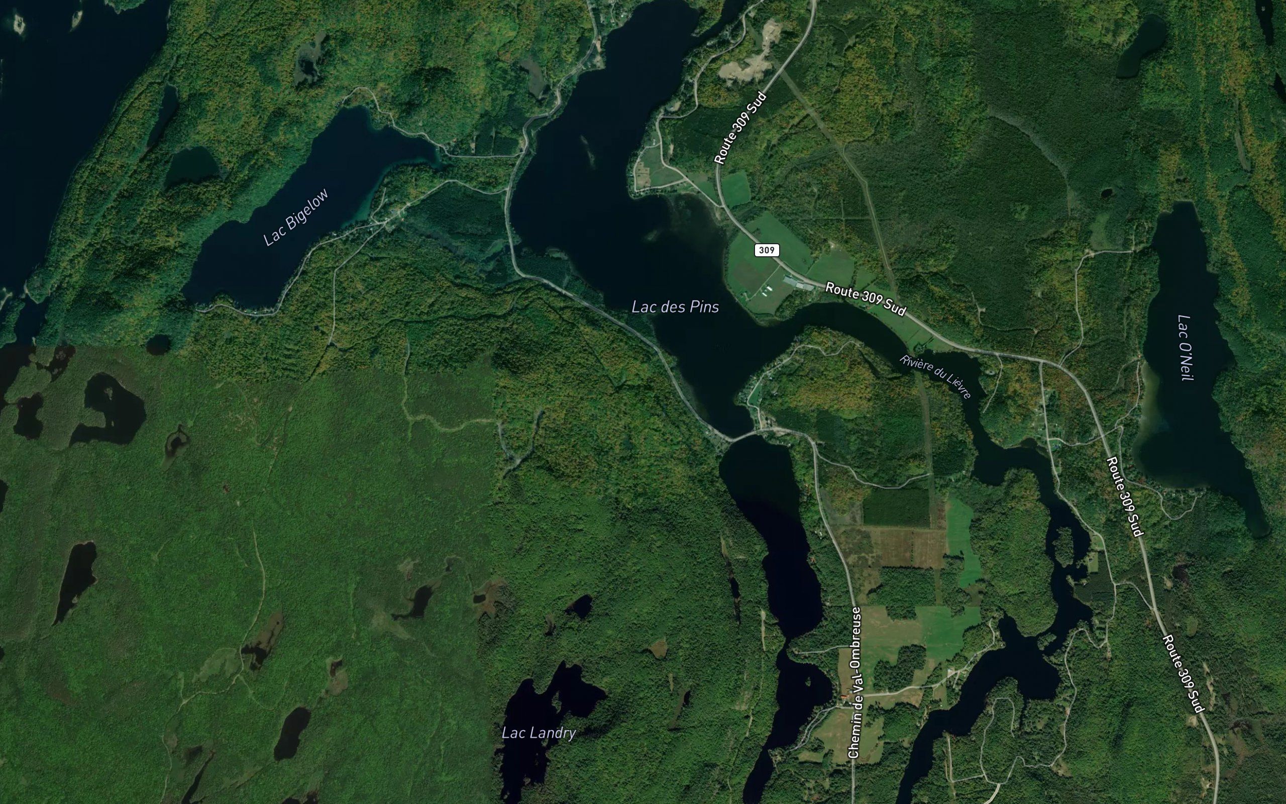 Lac des Pins