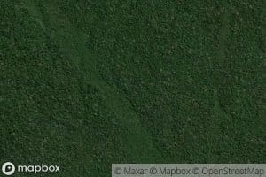 Igarape da Liberdade