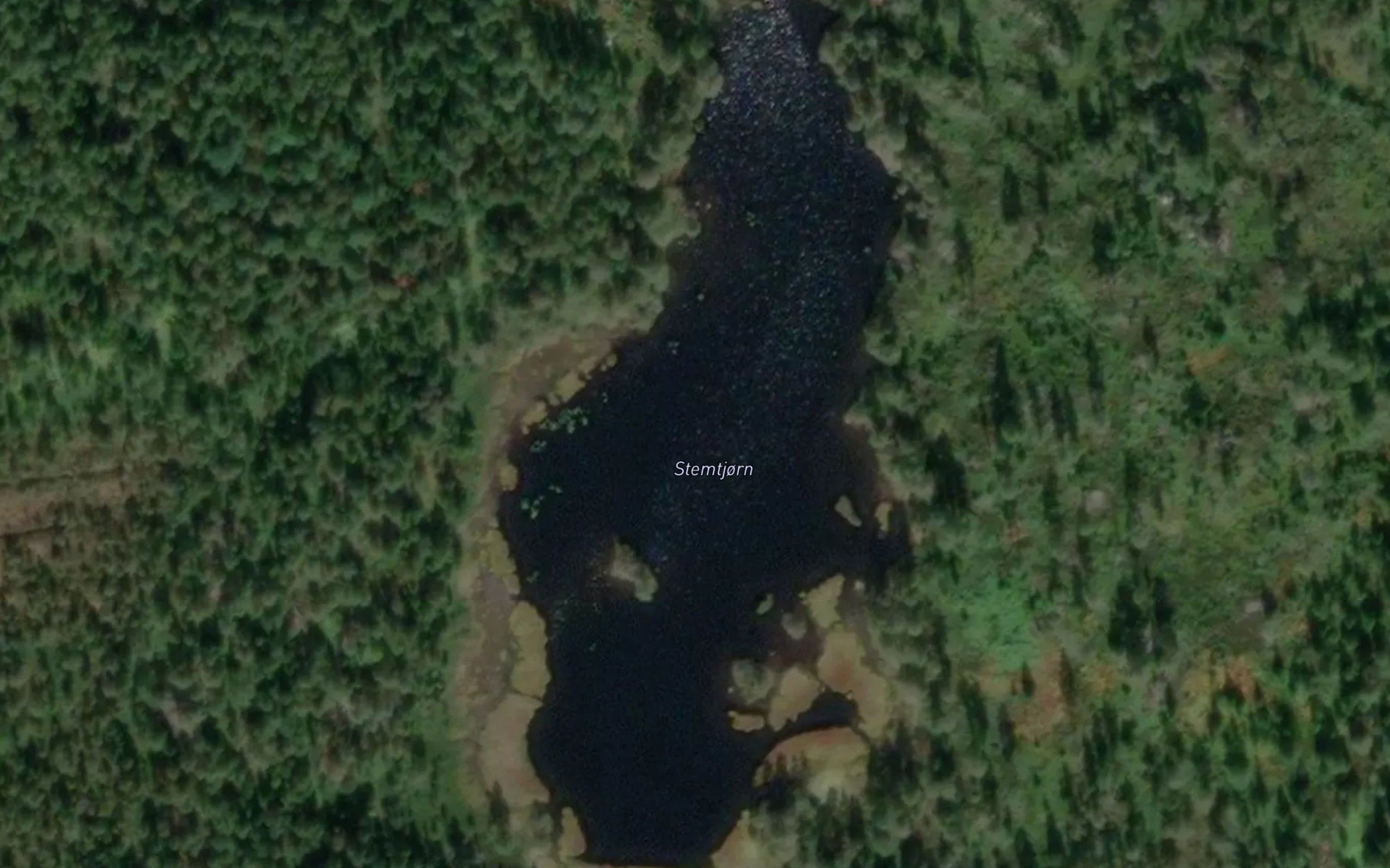 Stemtjorn