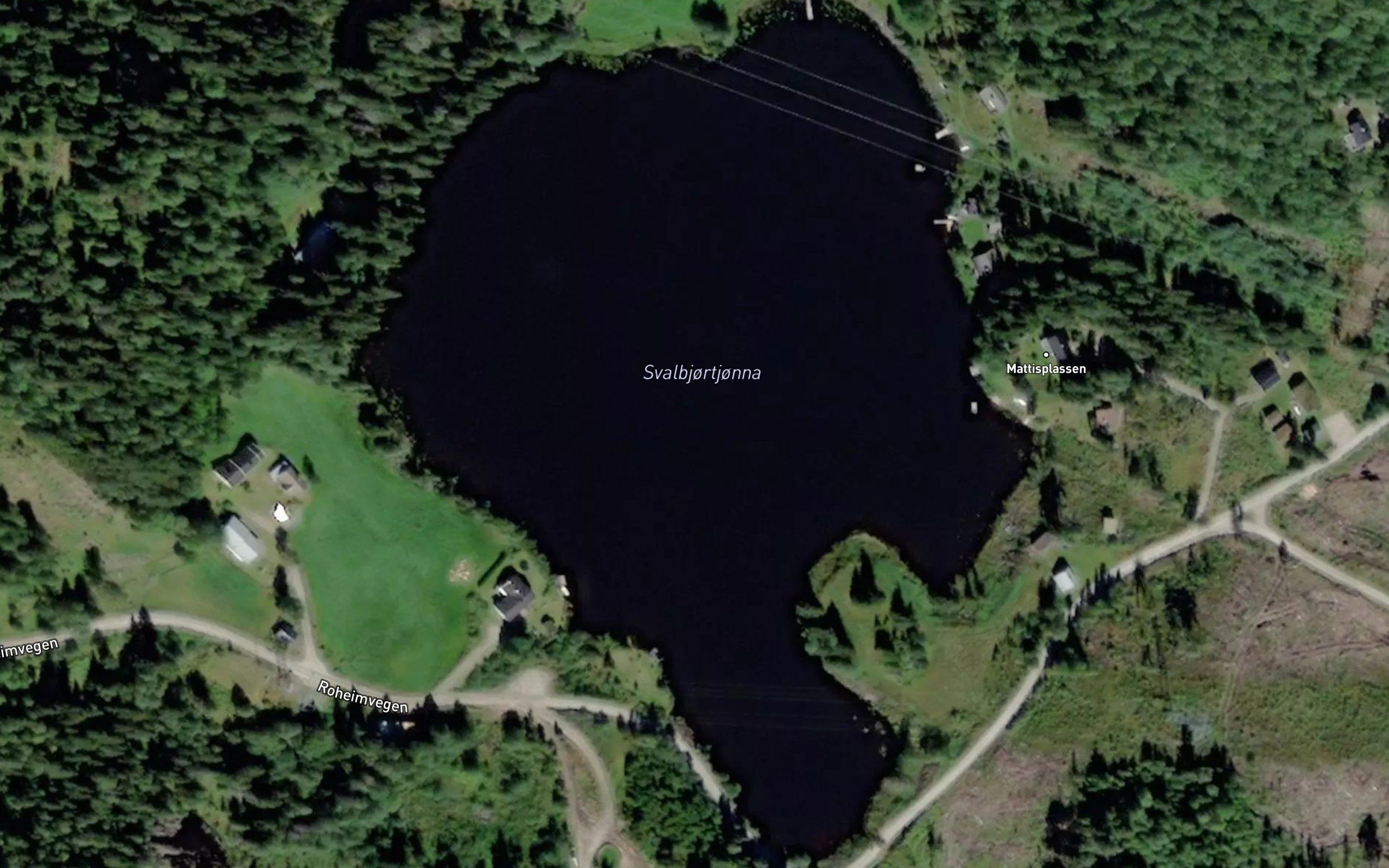 Svalbjortjorna